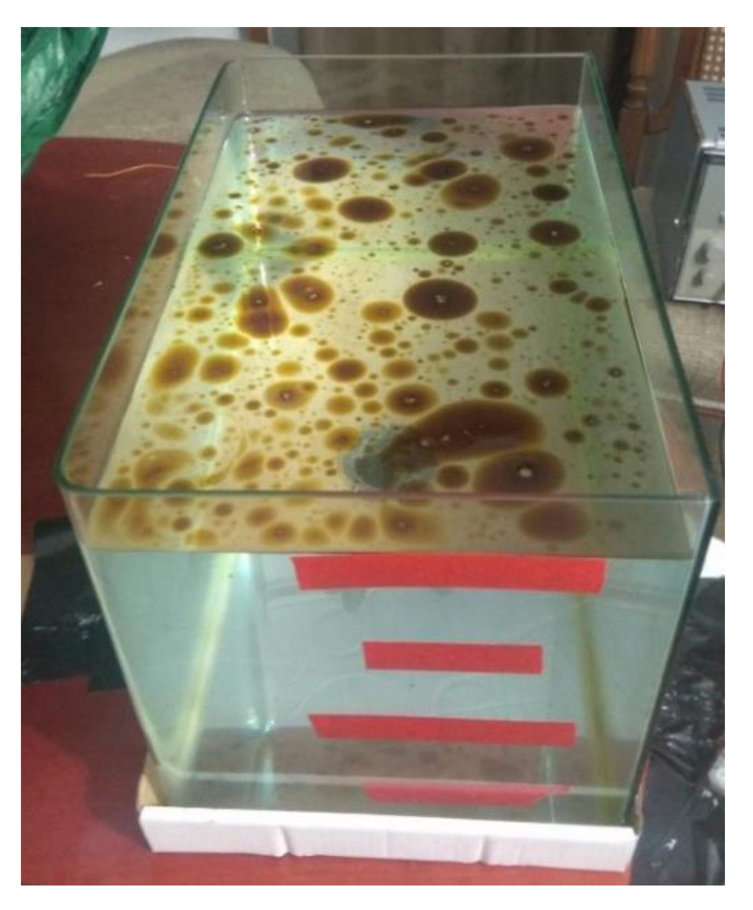 Sensors 21 05449 g004 550