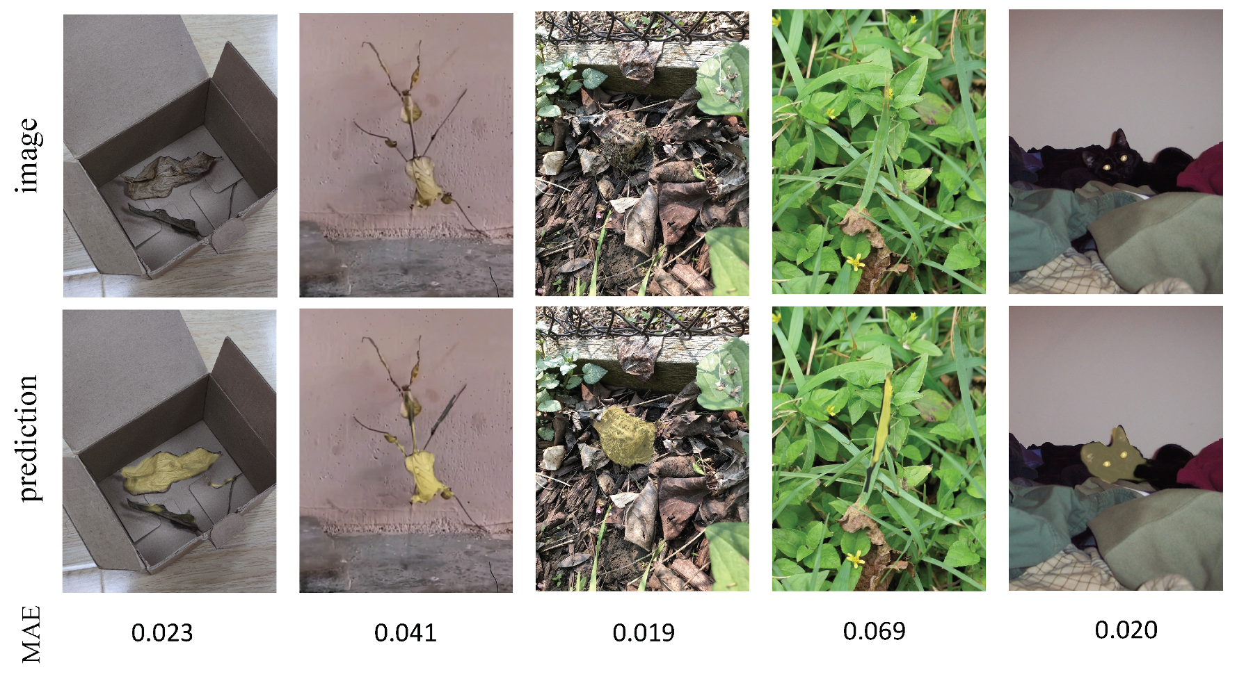 Sensors 21 05455 g007