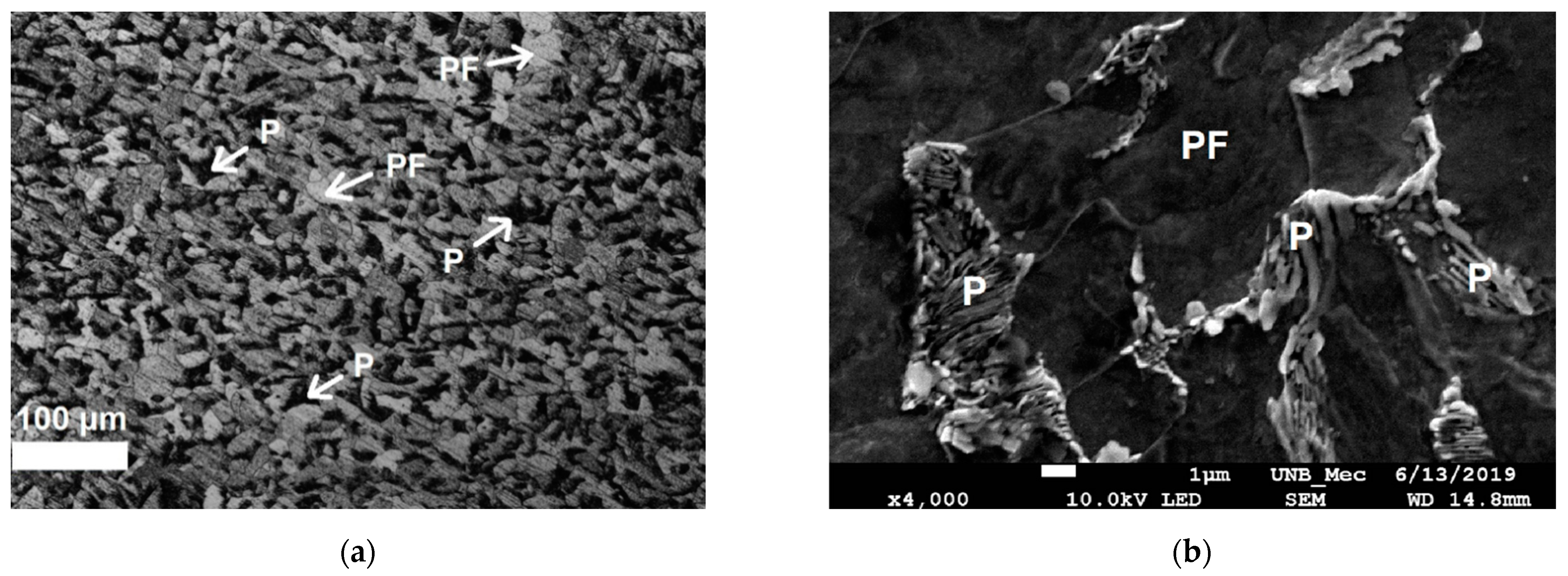 Sensors 21 05459 g005