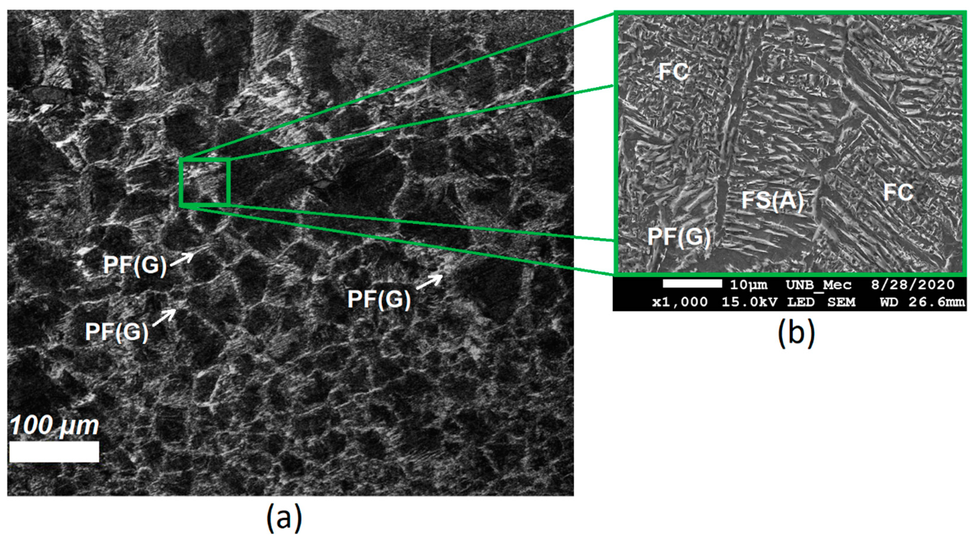 Sensors 21 05459 g007
