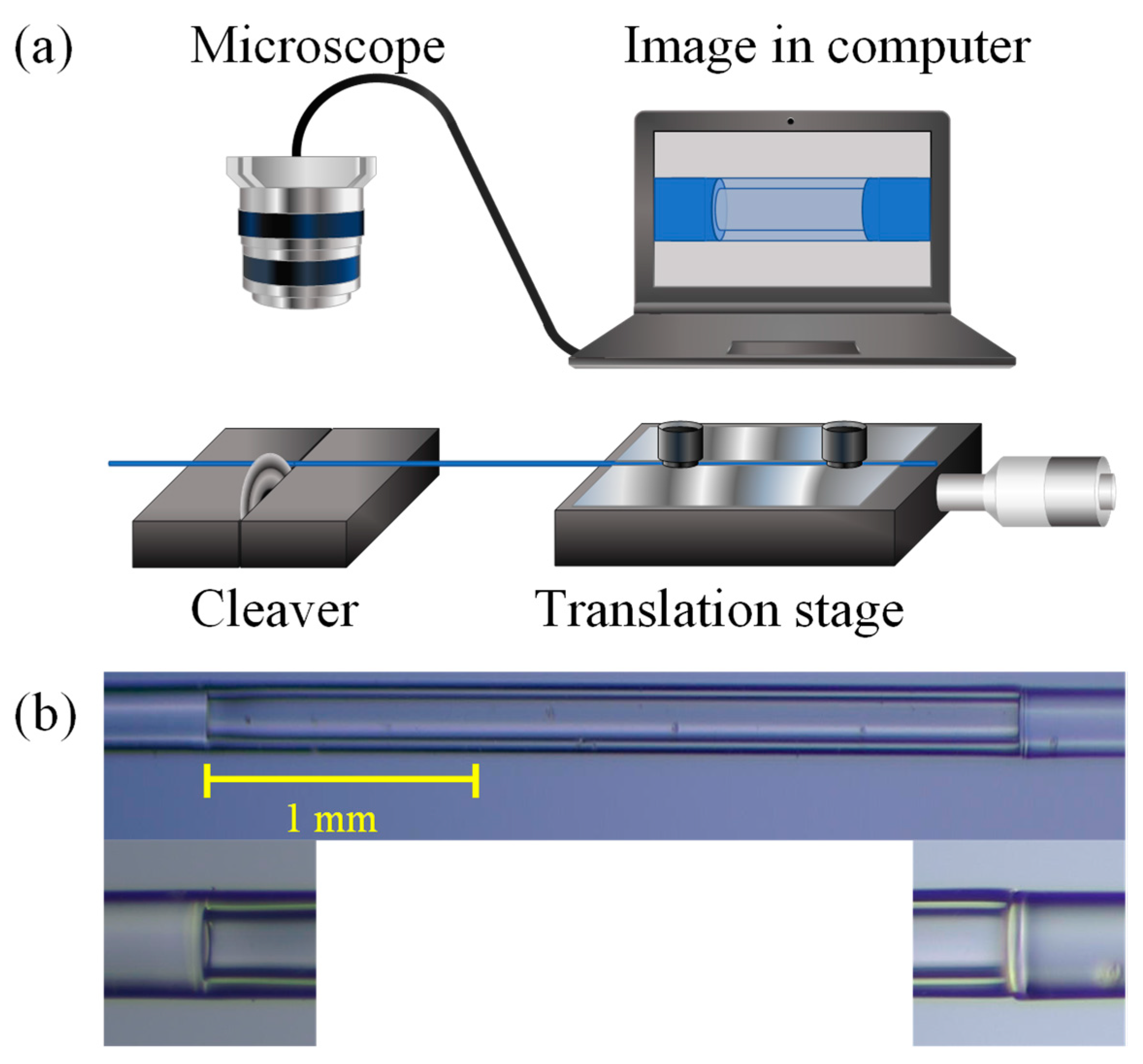 Sensors 21 05471 g008