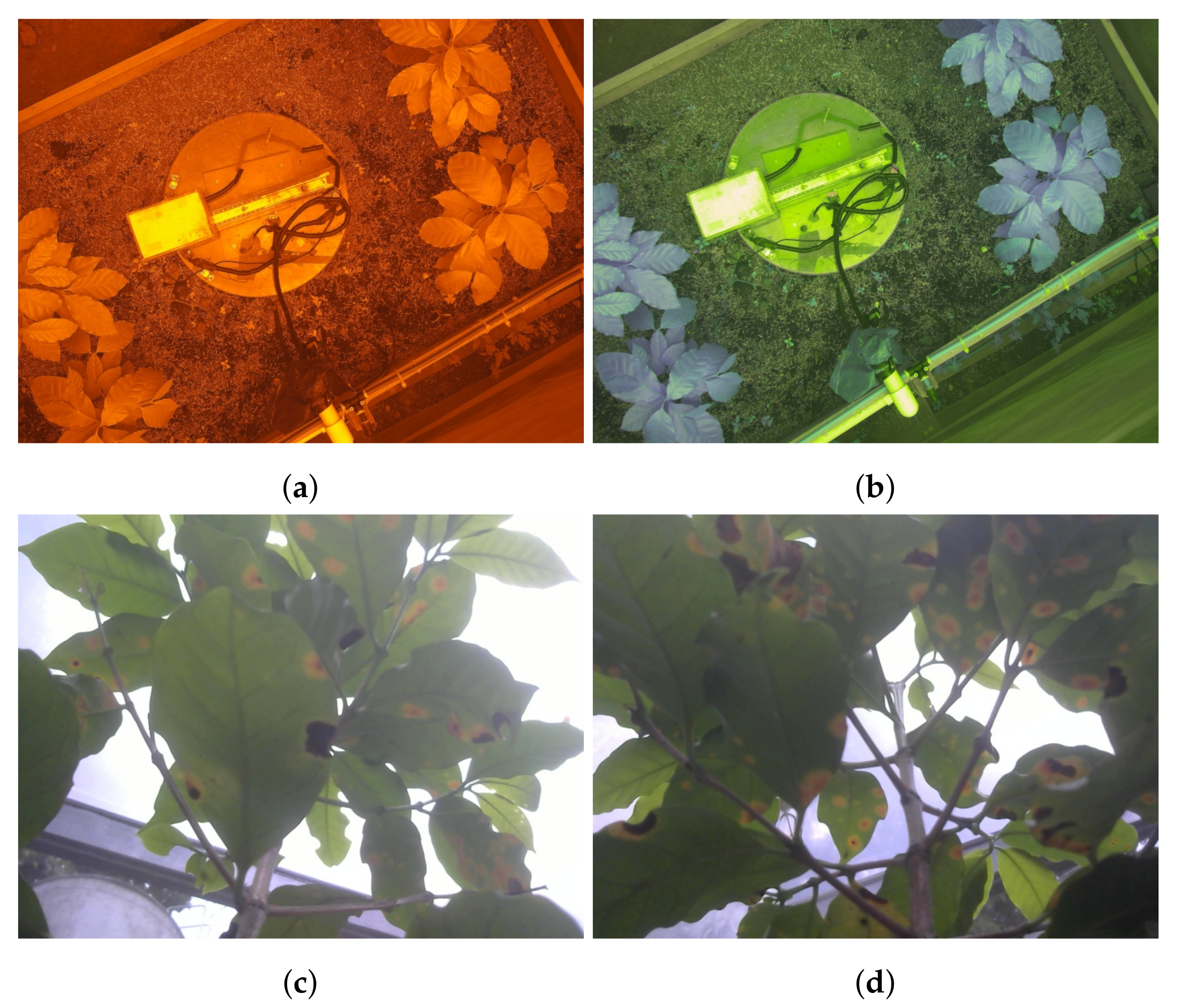 Sensors 21 05474 g005 550