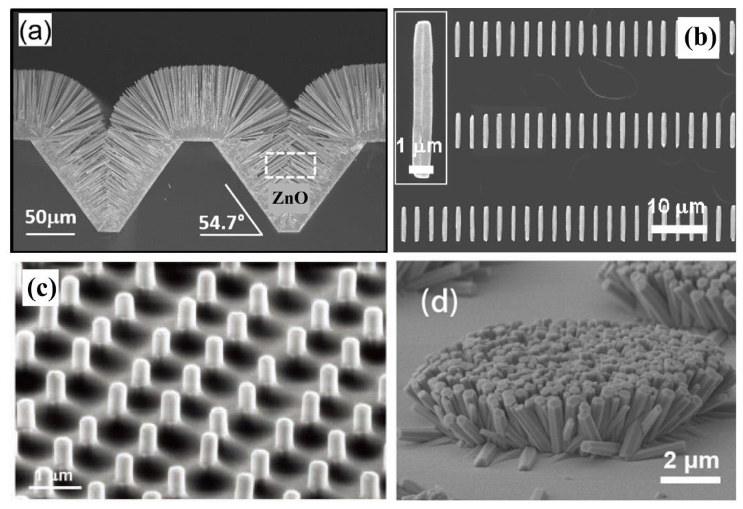 Sensors 21 05502 g002 550