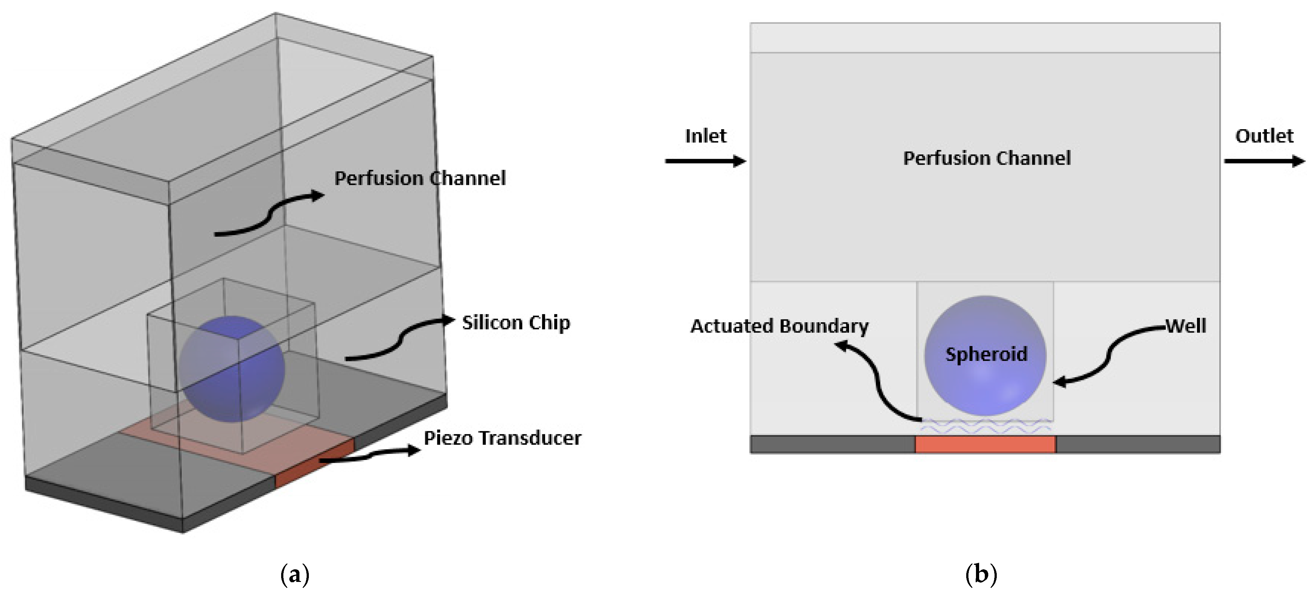 Sensors 21 05529 g001 550