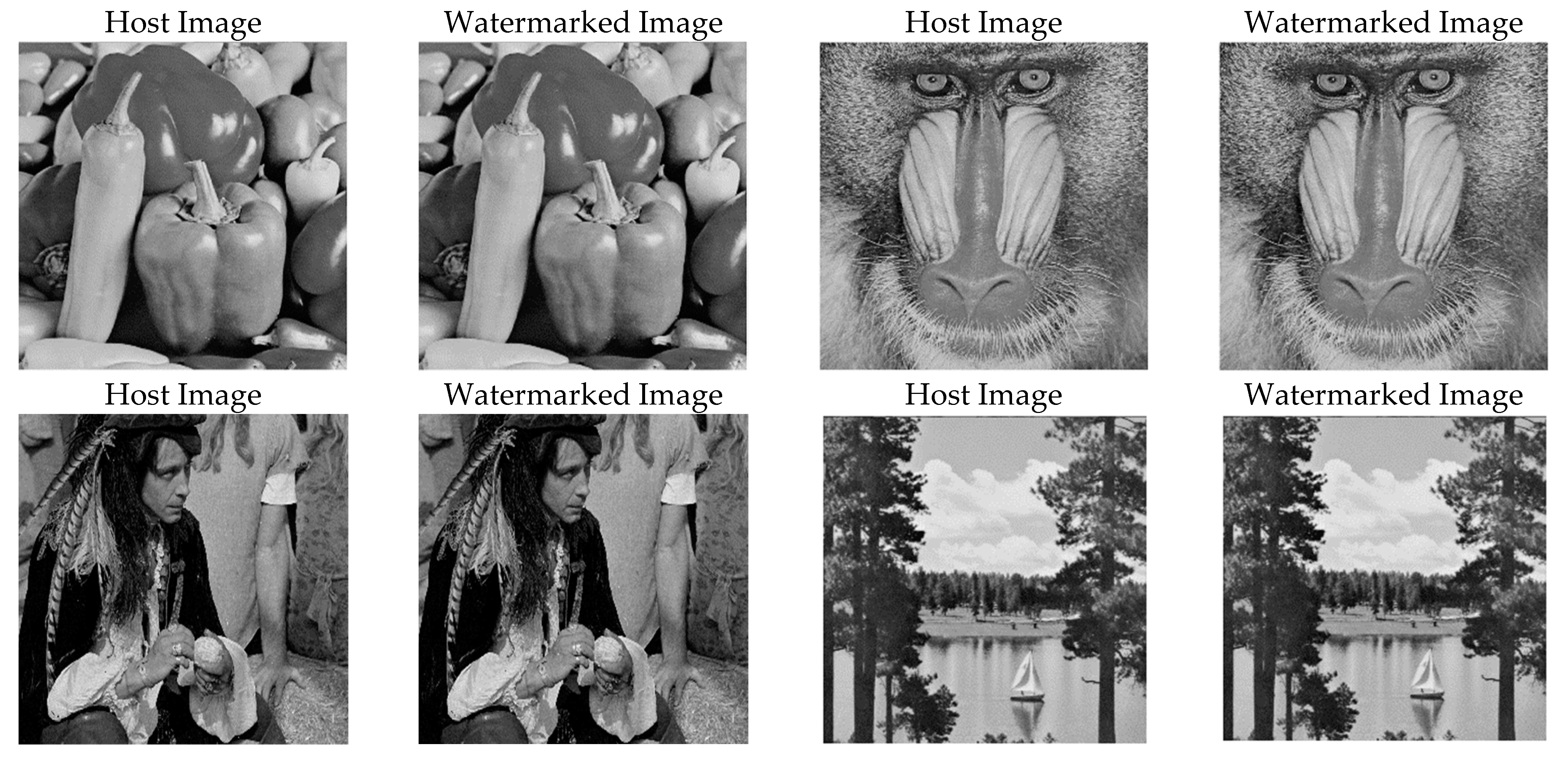 Sensors 21 05540 g008 550