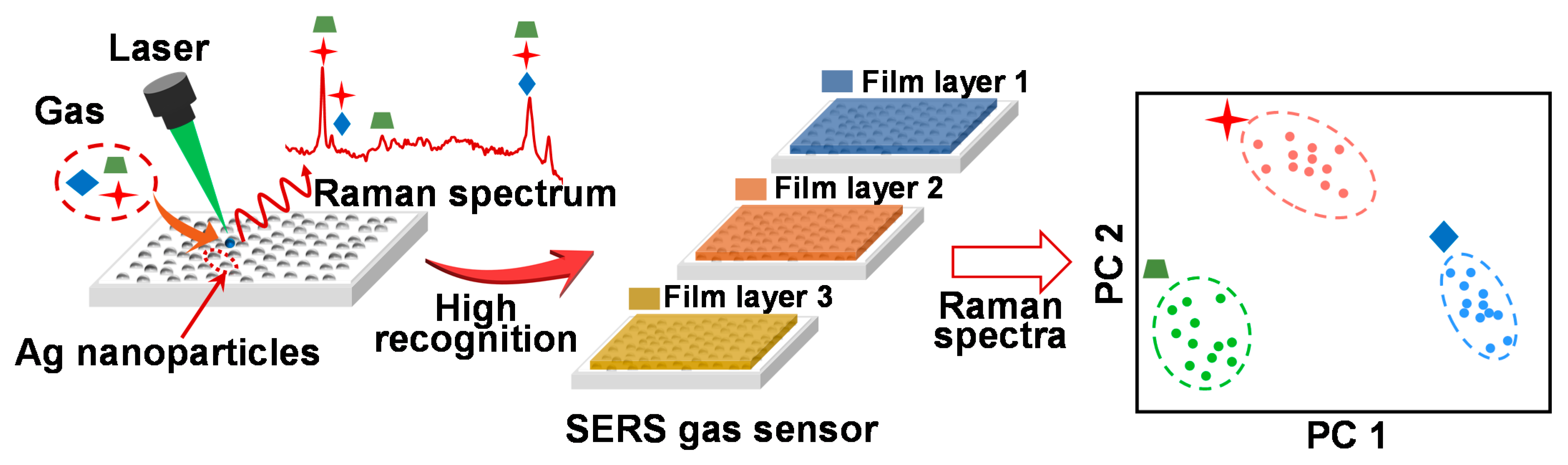 Sensors | Free Full-Text | SERS Gas Sensors Based on Multiple 