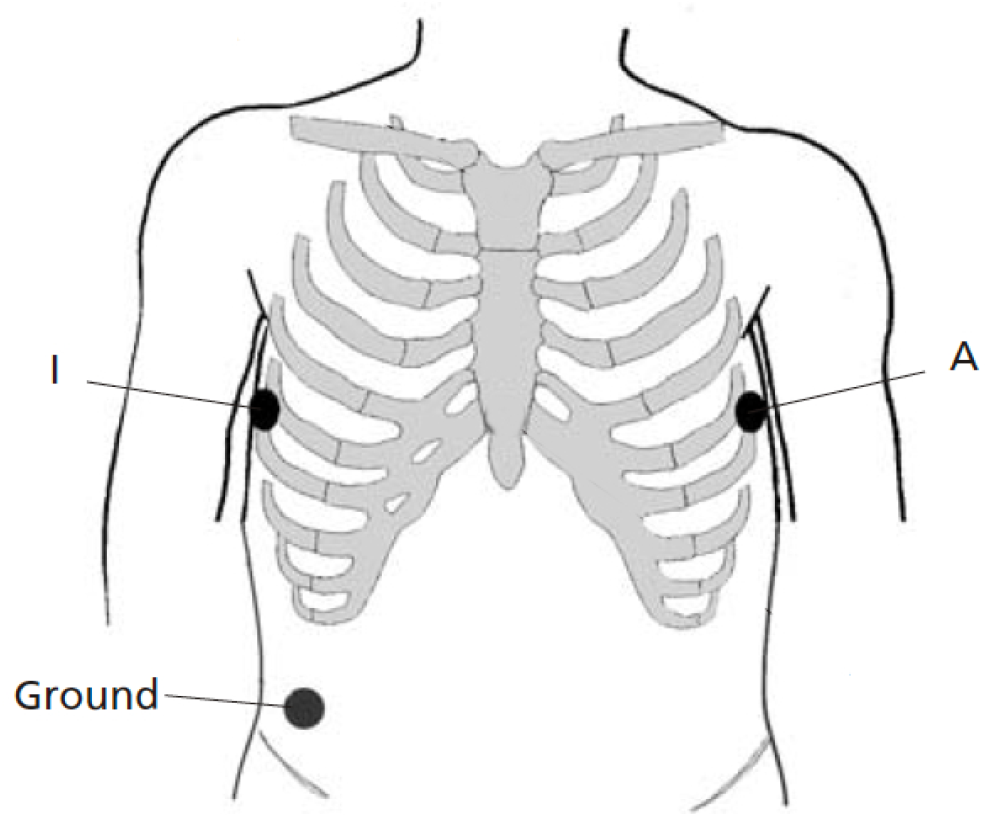 Sensors 21 05548 g002 550