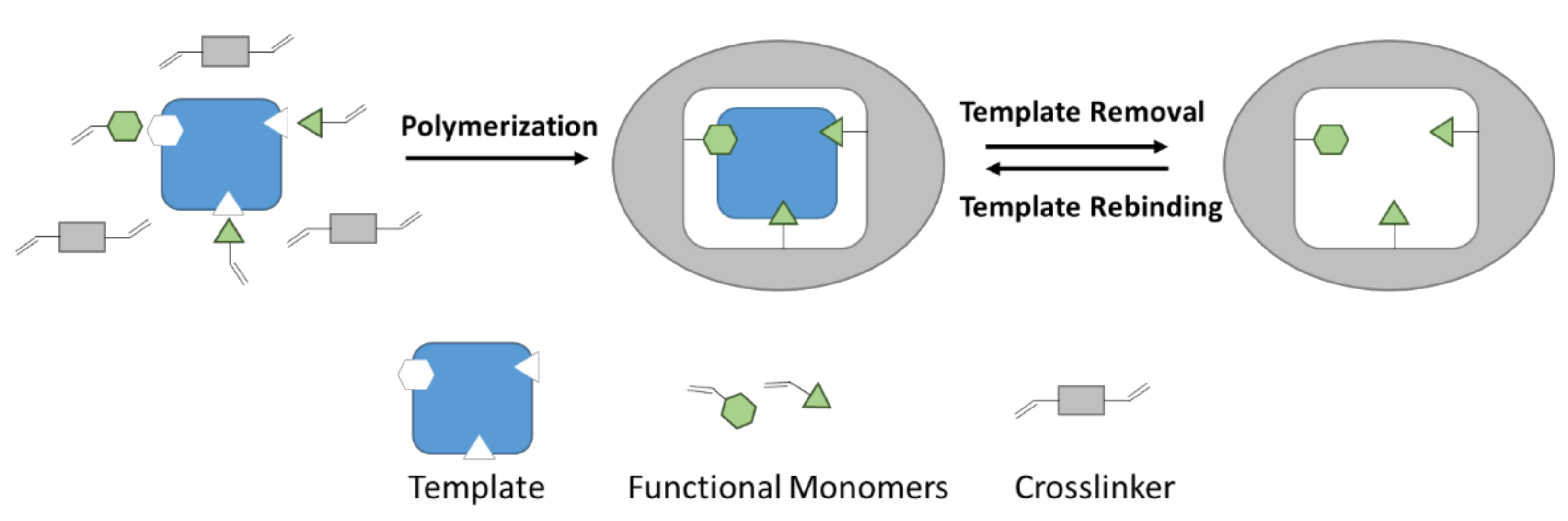 Sensors 21 05550 g001 550