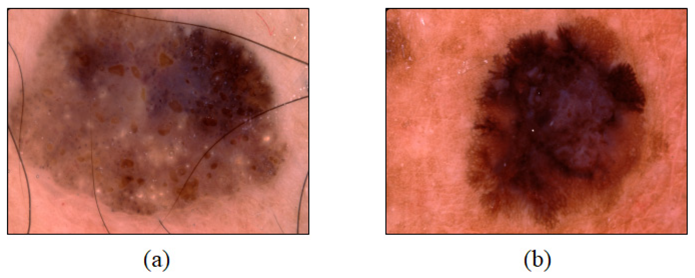 Sensors 21 05551 g001