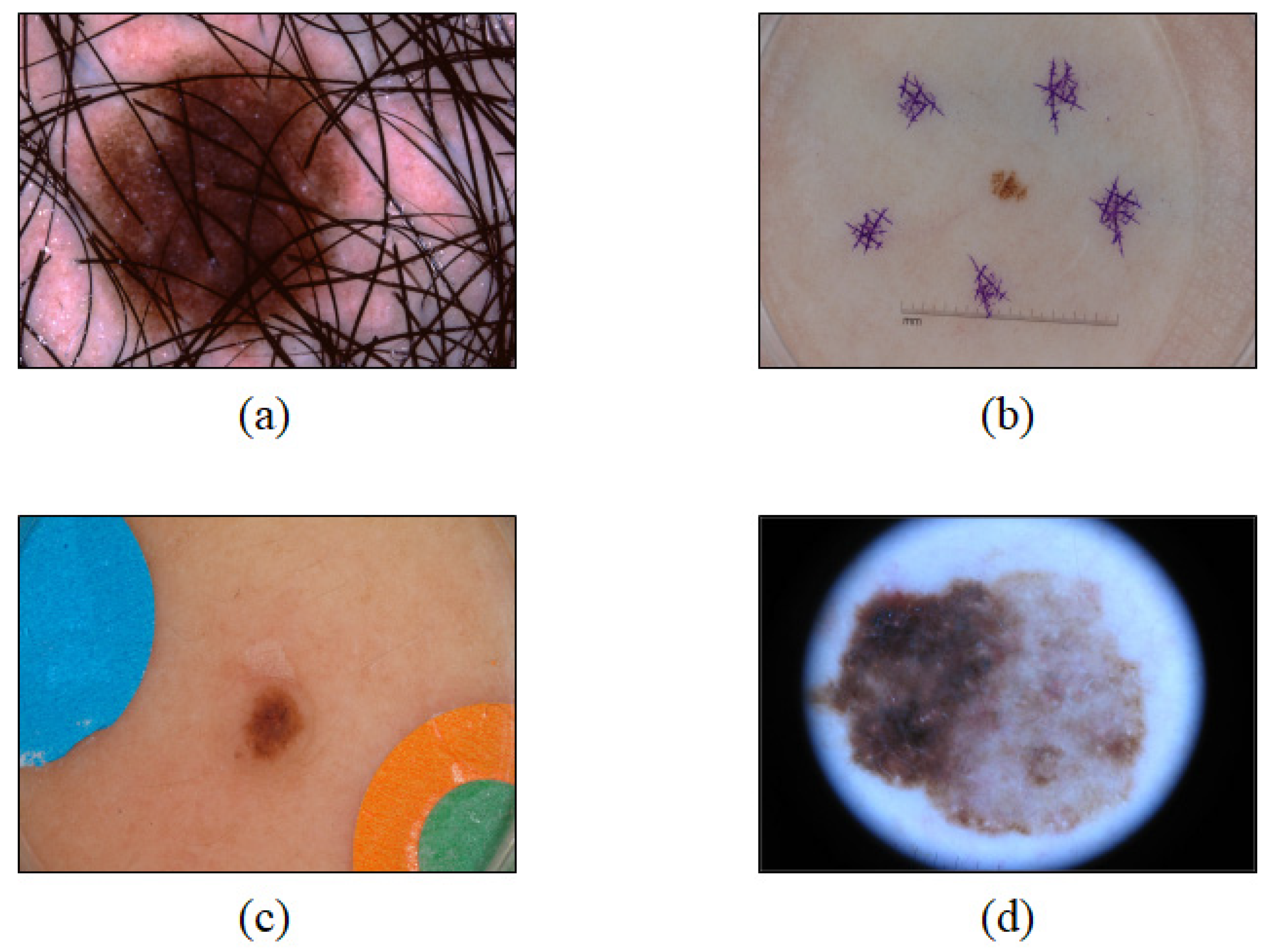 Sensors 21 05551 g003