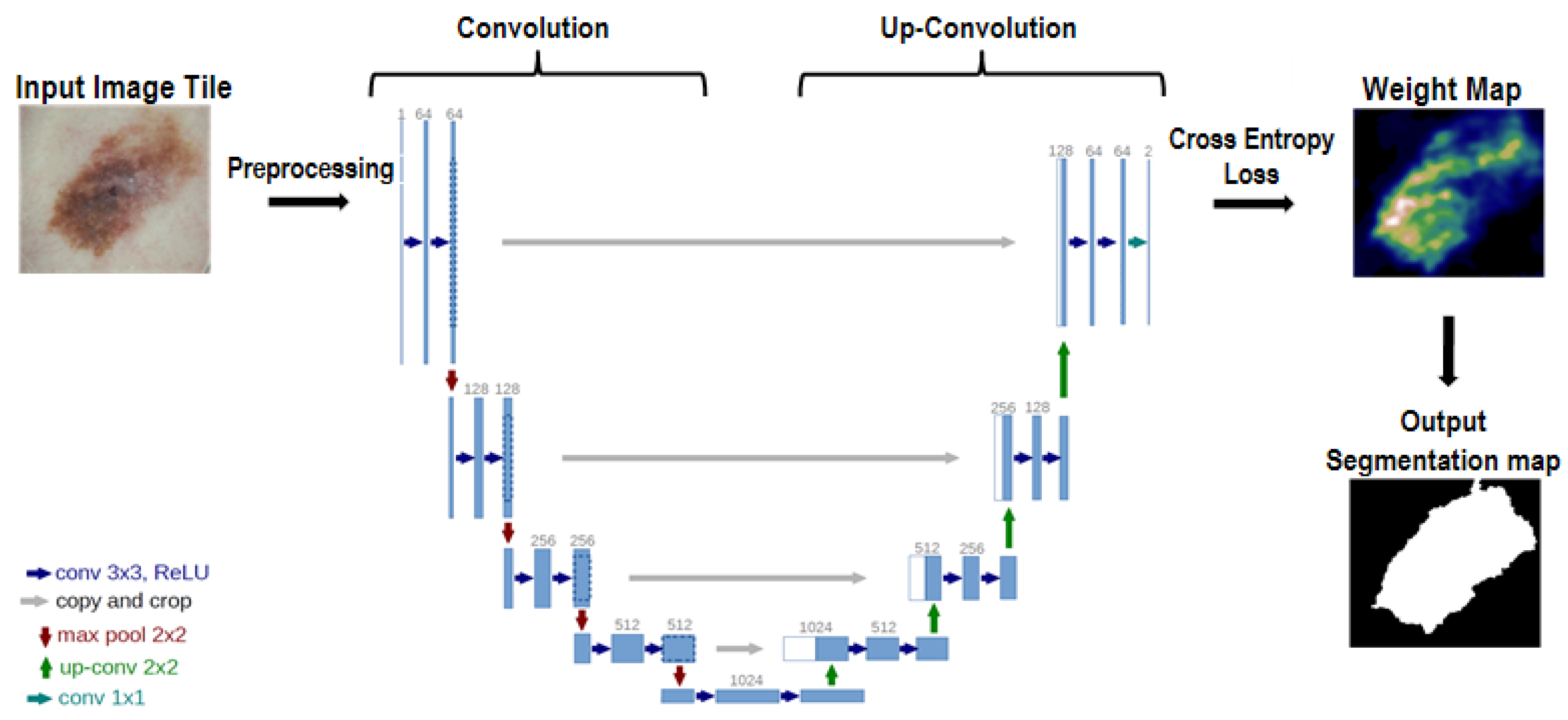 Sensors 21 05551 g005