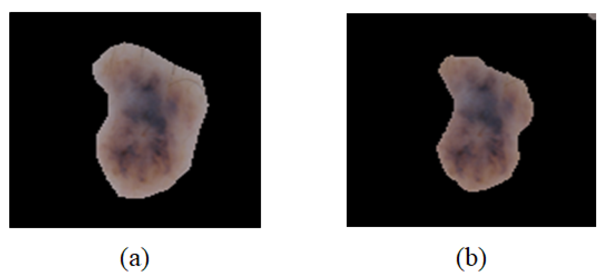 Sensors 21 05551 g007