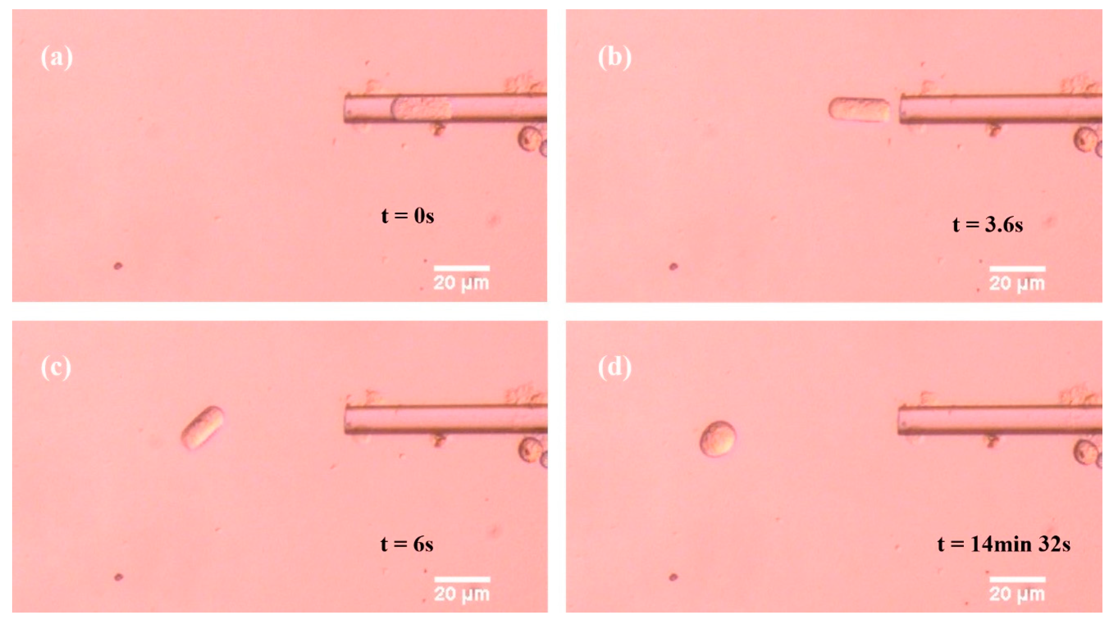 Sensors 21 05561 g003