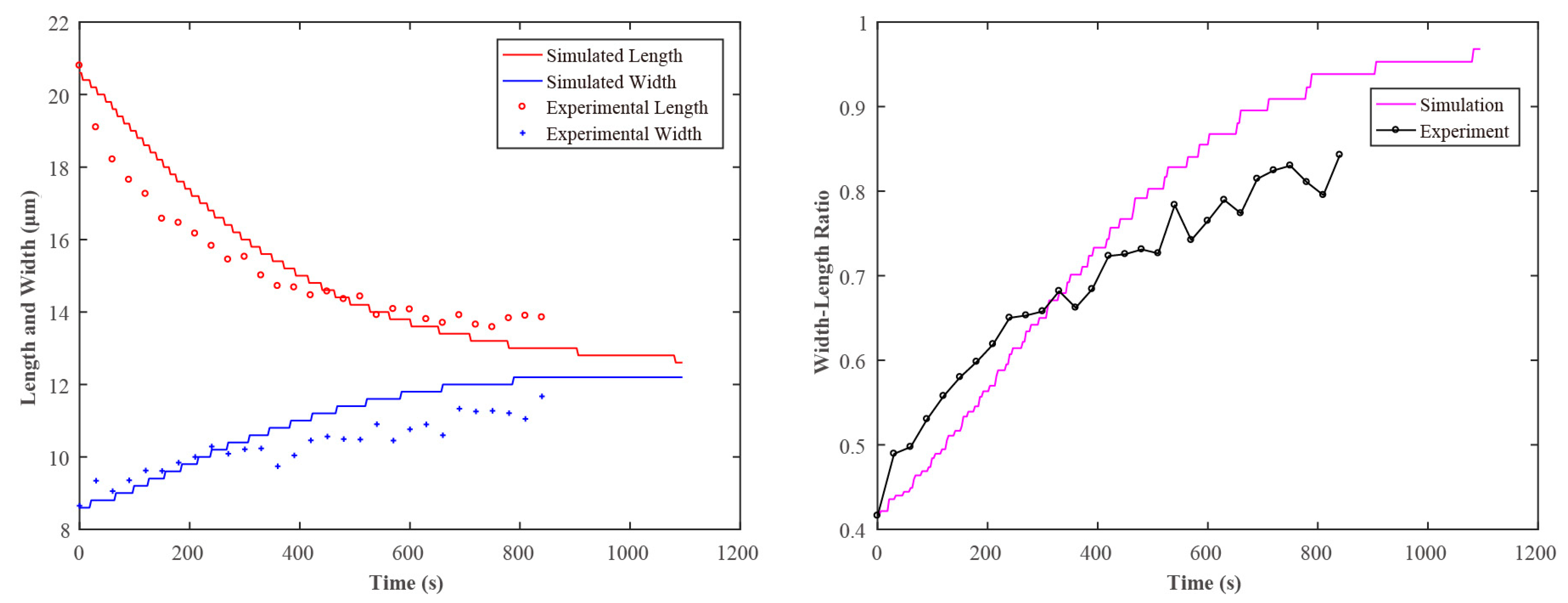 Sensors 21 05561 g011