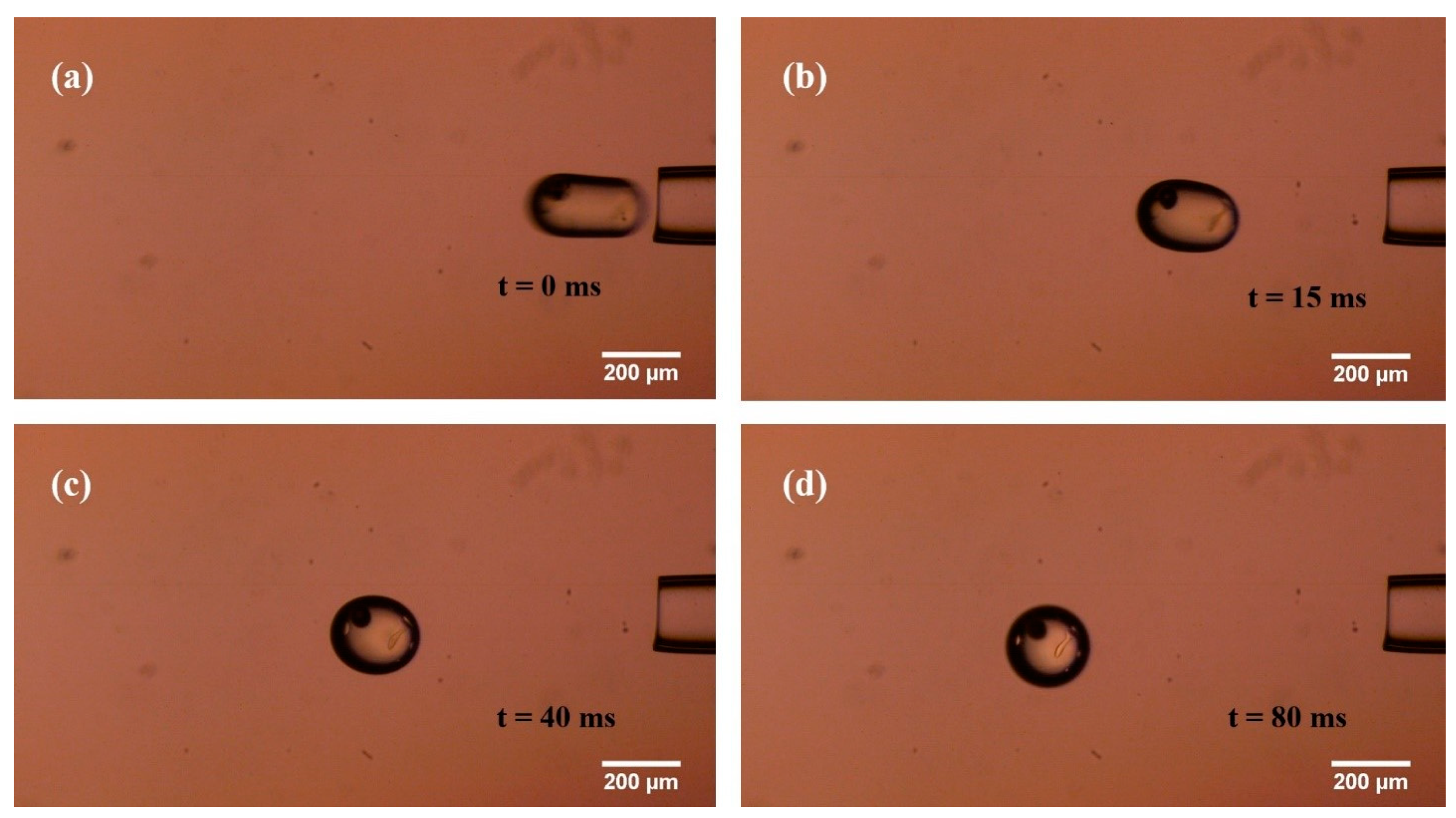 Sensors 21 05561 g012