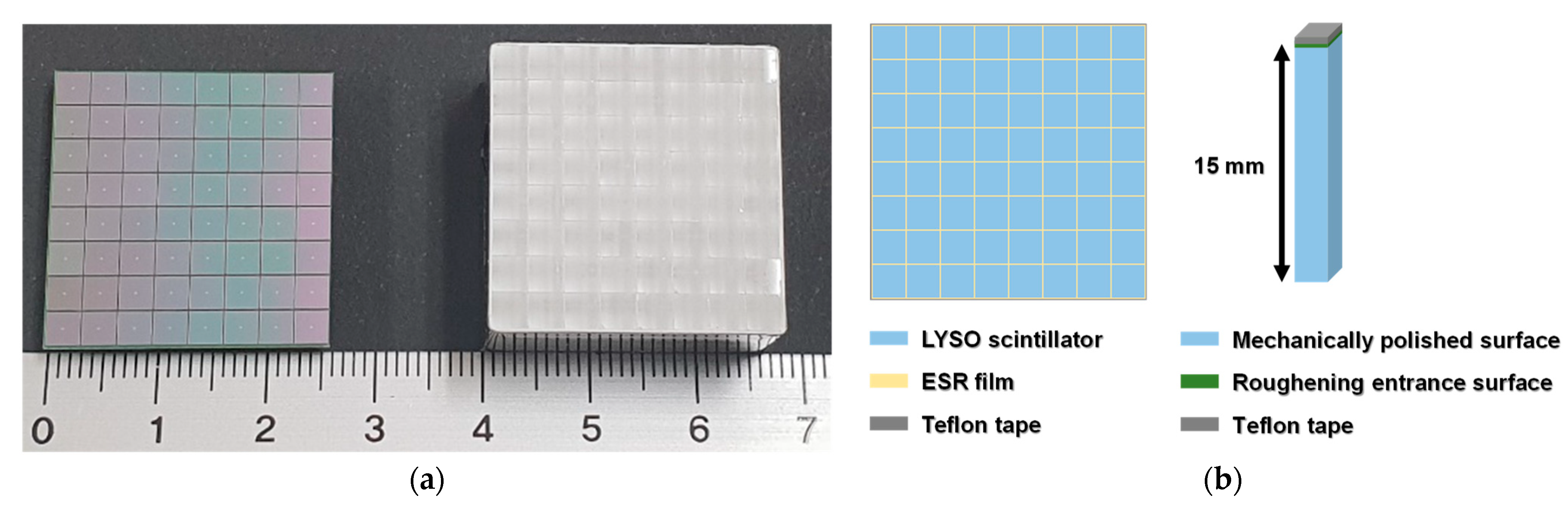 Sensors 21 05566 g002