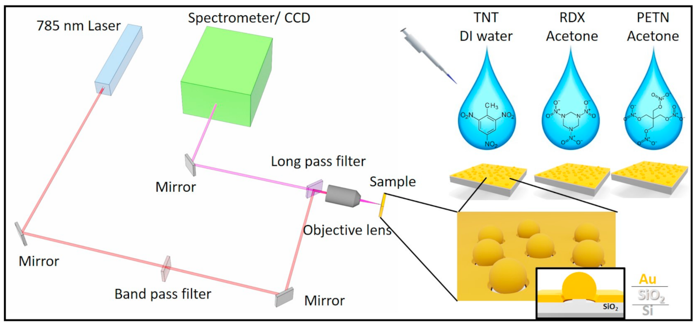 Sensors 21 05567 g001