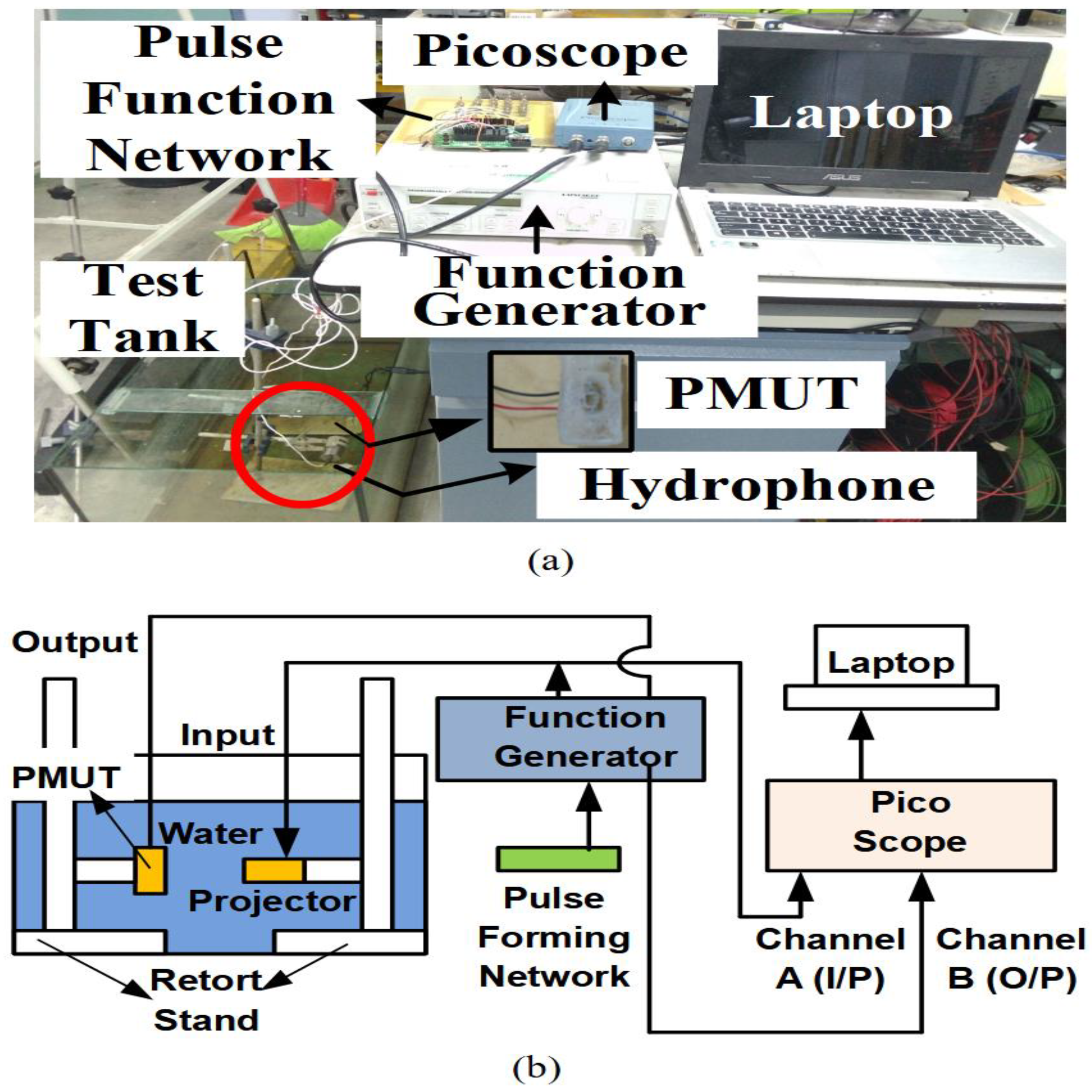 Sensors 21 05582 g005