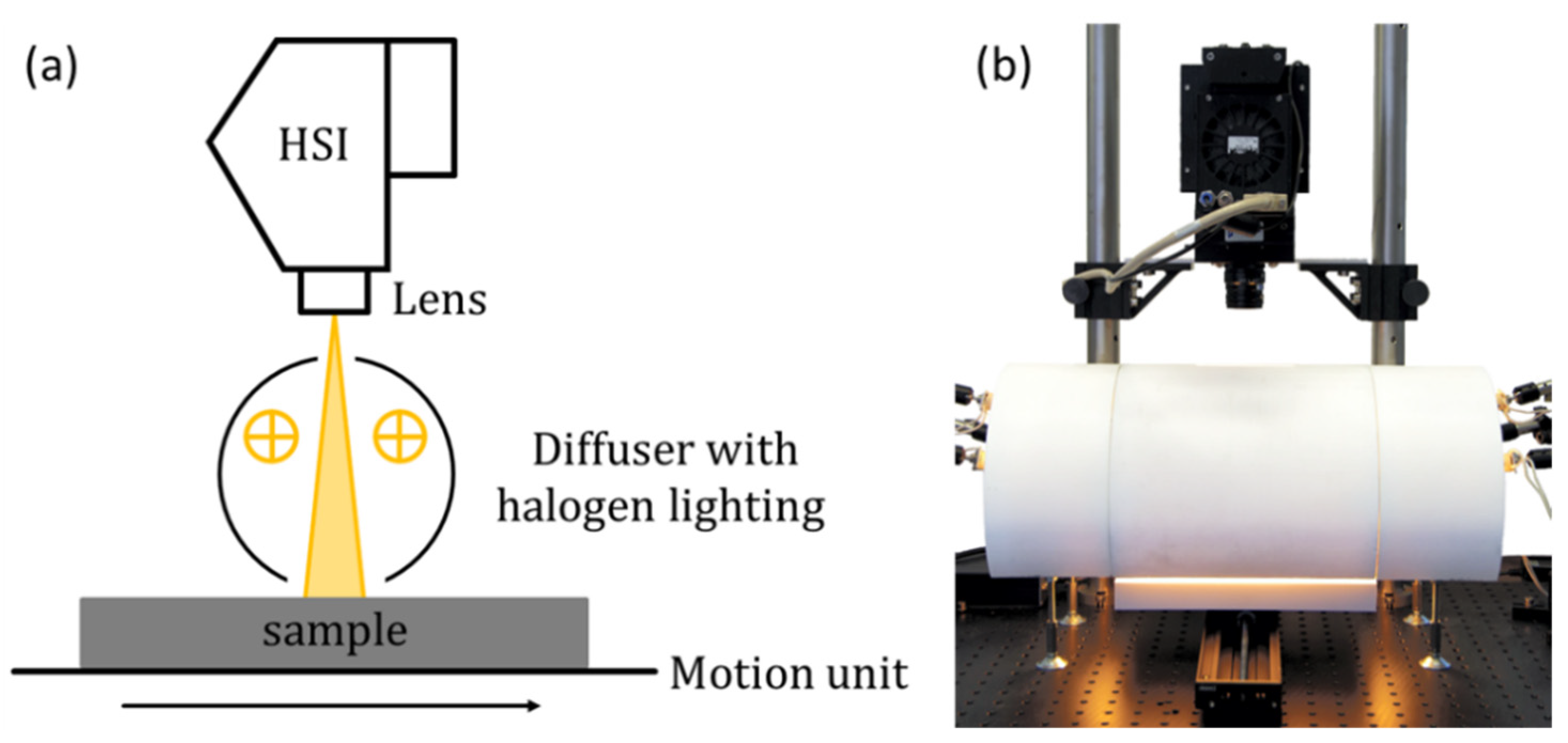 Sensors 21 05595 g002