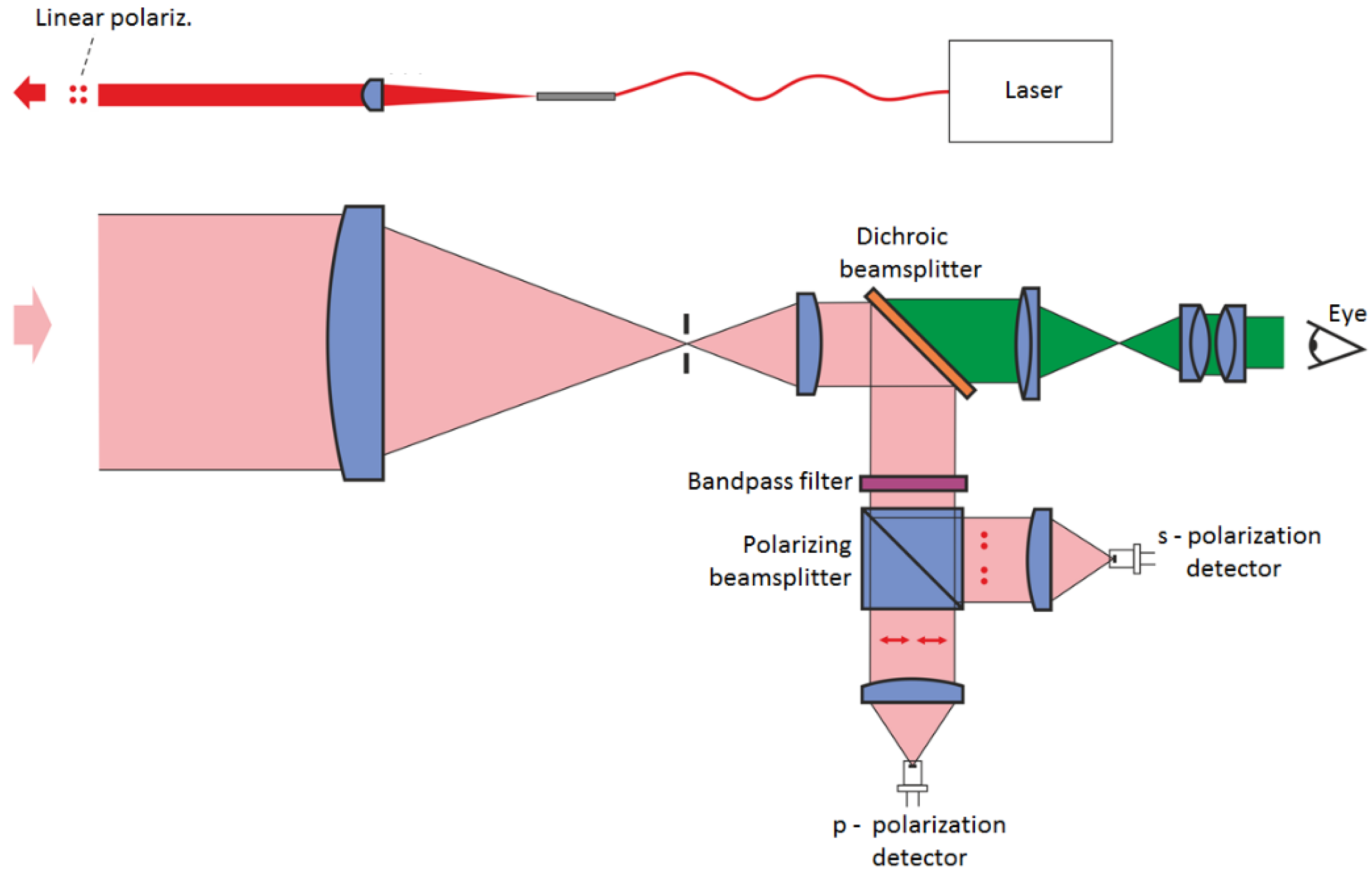 Sensors 21 05597 g003 550