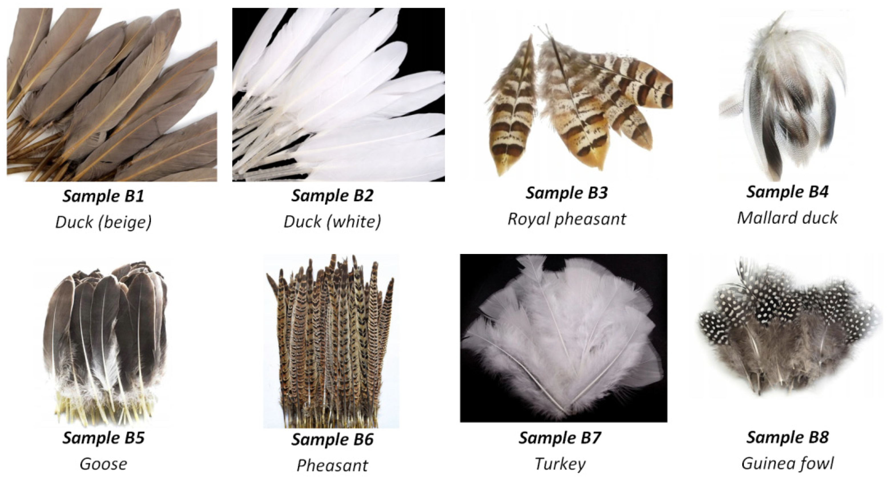 Sensors 21 05597 g005 550