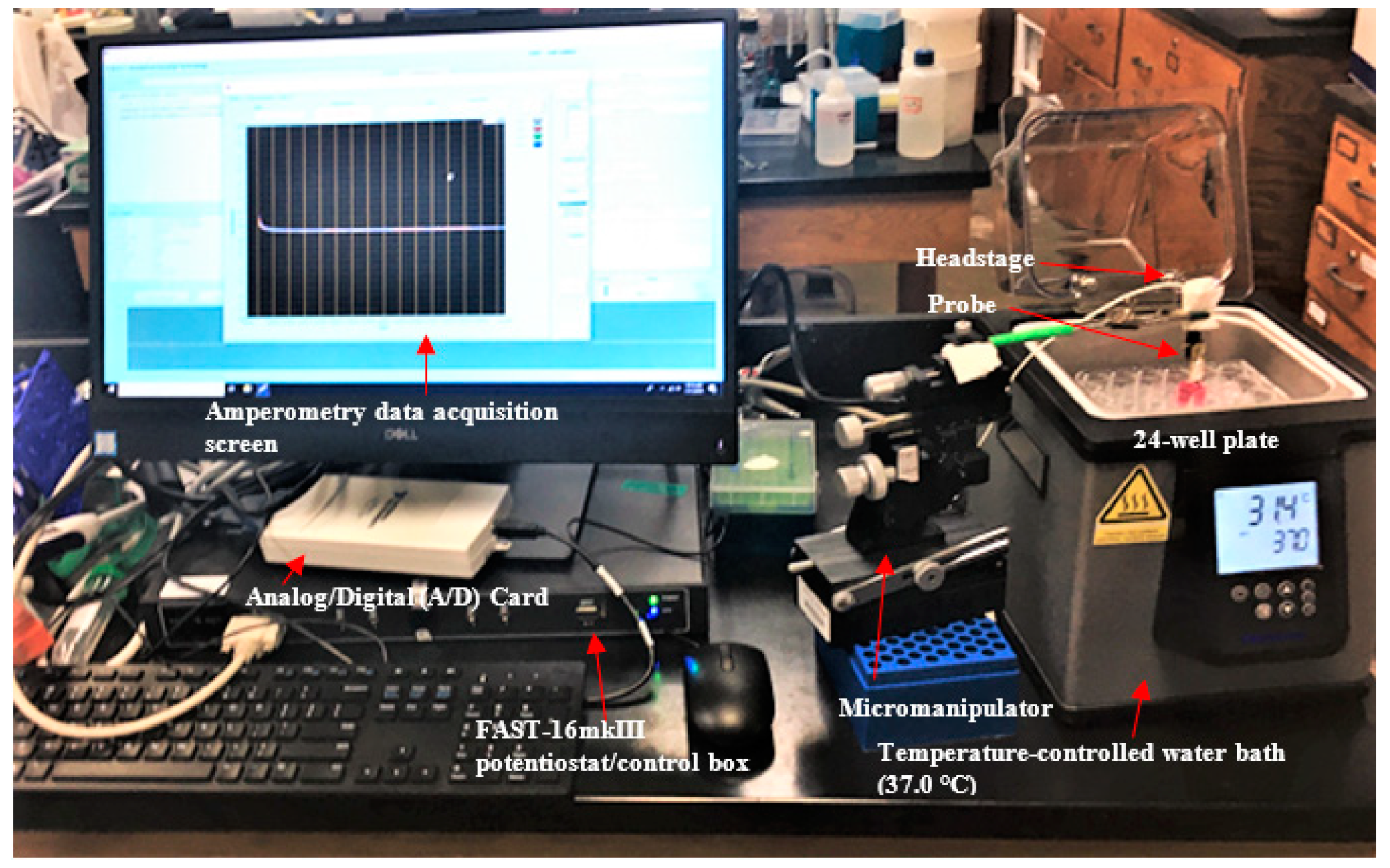 Sensors 21 05607 g004 550