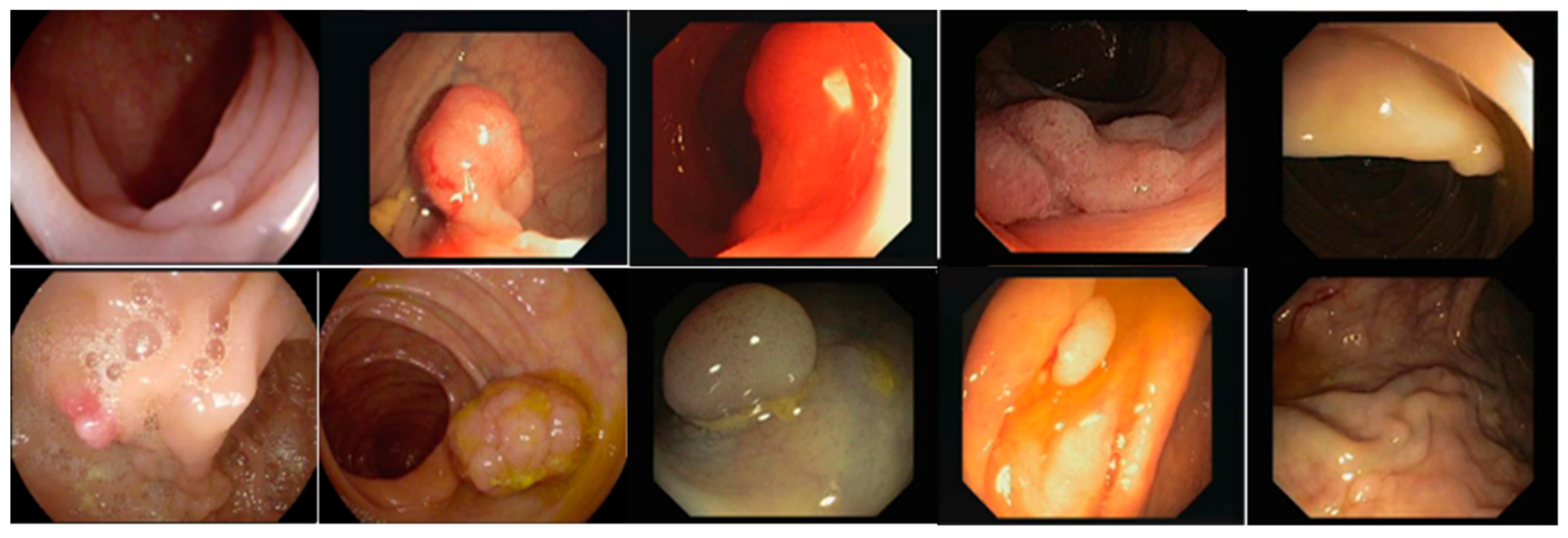 Sensors 21 05630 g0a1 550