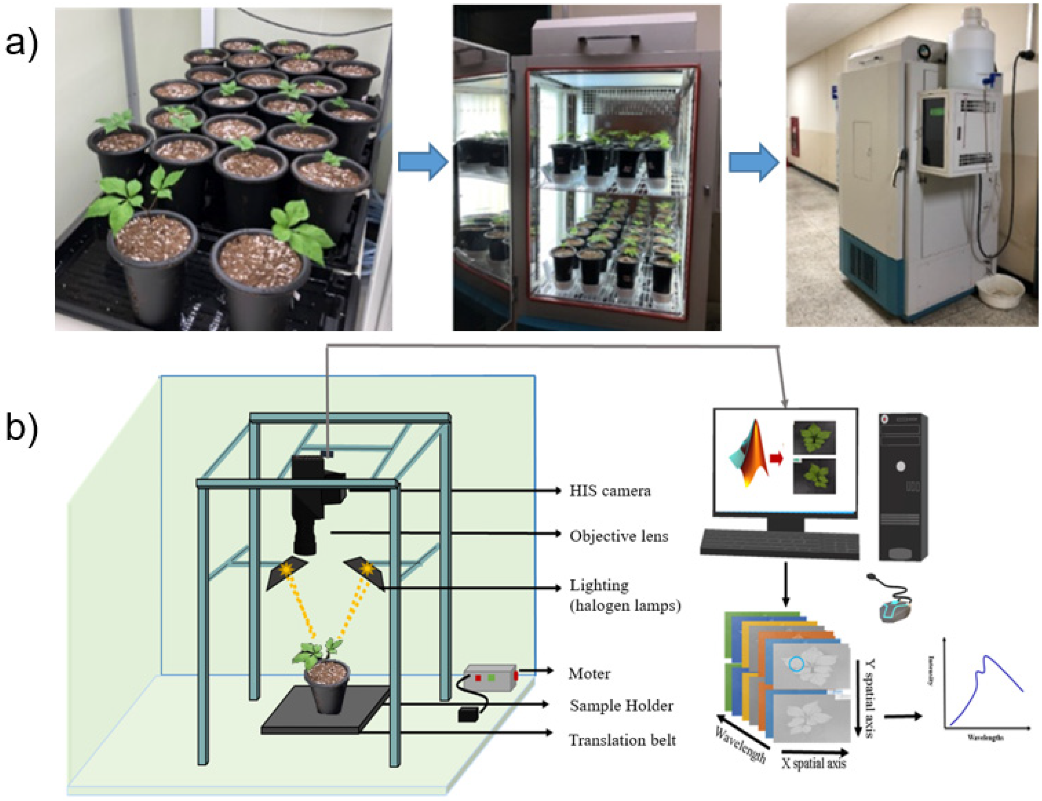 Sensors 21 05634 g001 Sensors 21 05634 g001