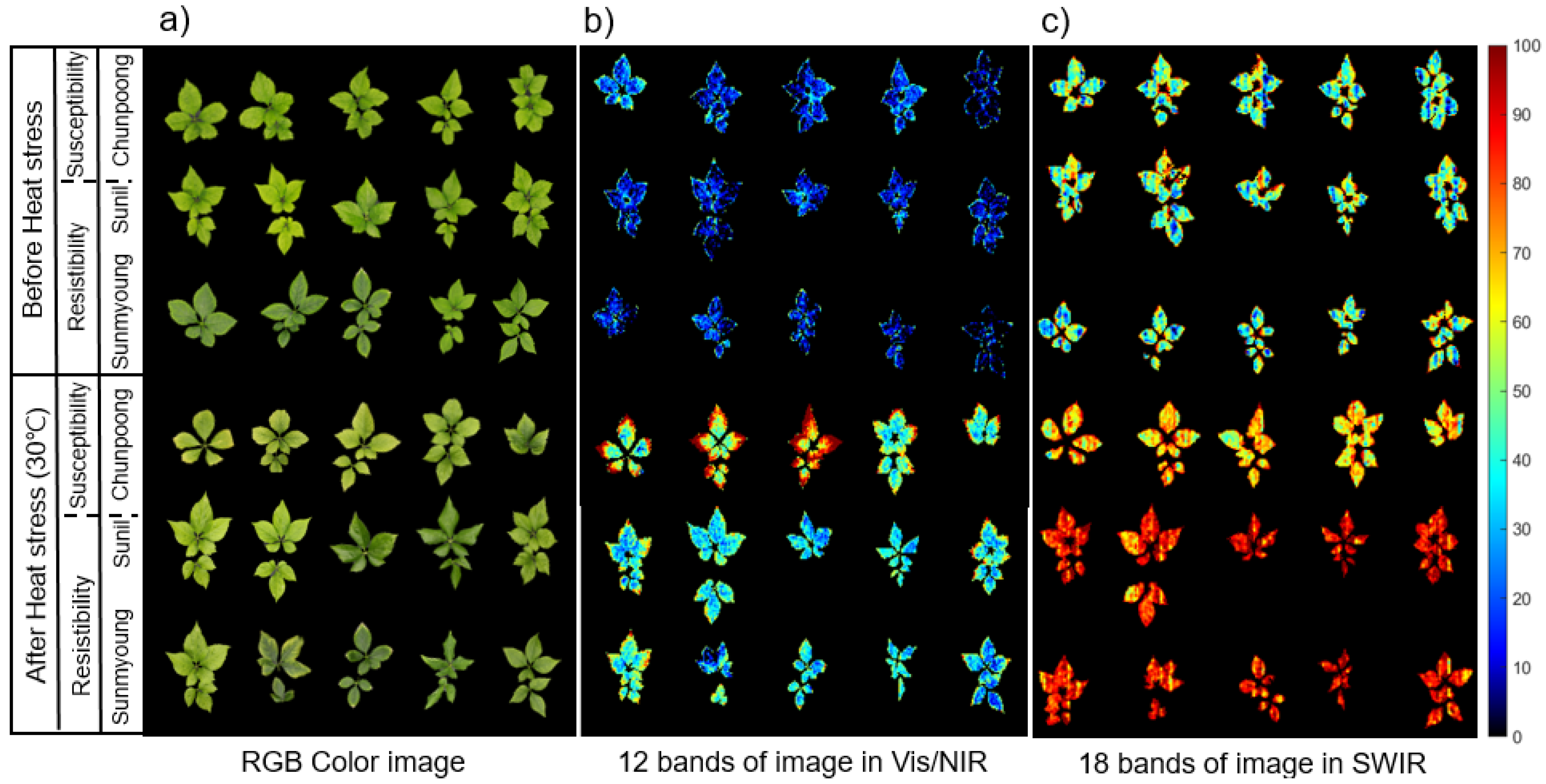 Sensors 21 05634 g006 Sensors 21 05634 g006