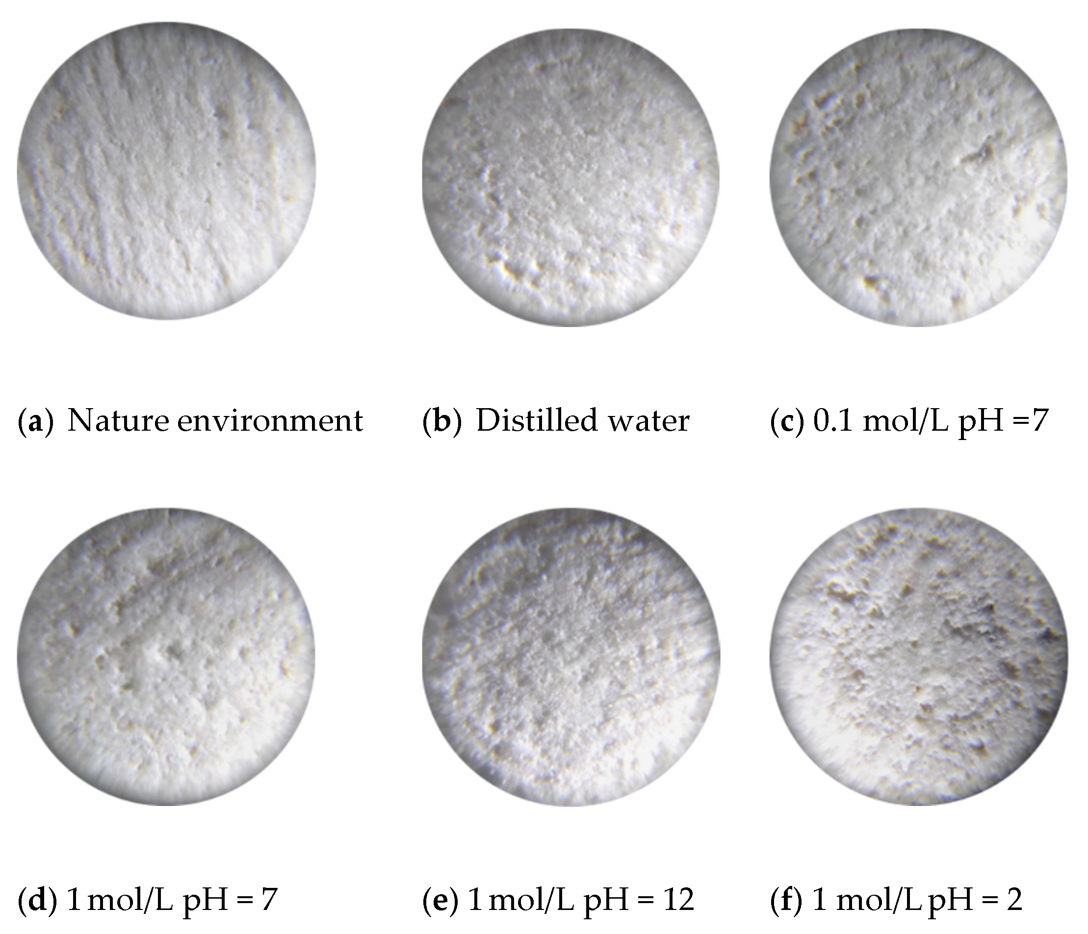 Sensors 21 05641 g005 550