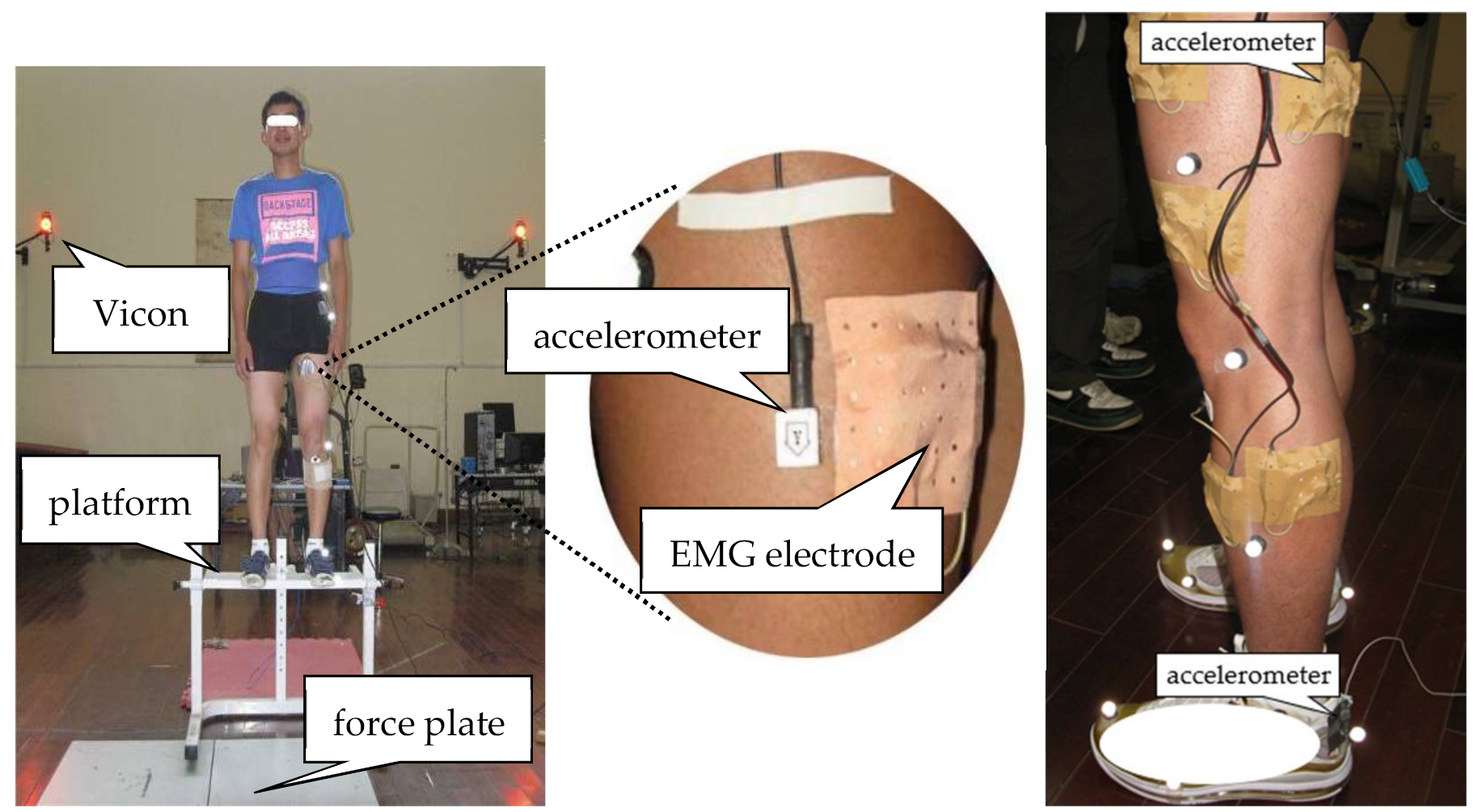 Sensors 21 05644 g002 Sensors 21 05644 g002
