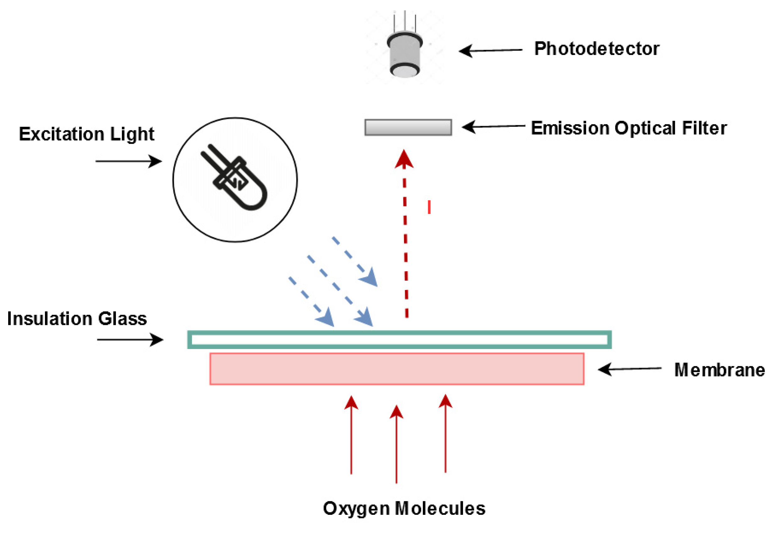 Sensors Free Full Text PtOEP PDMS Based Optical Oxygen Sensor