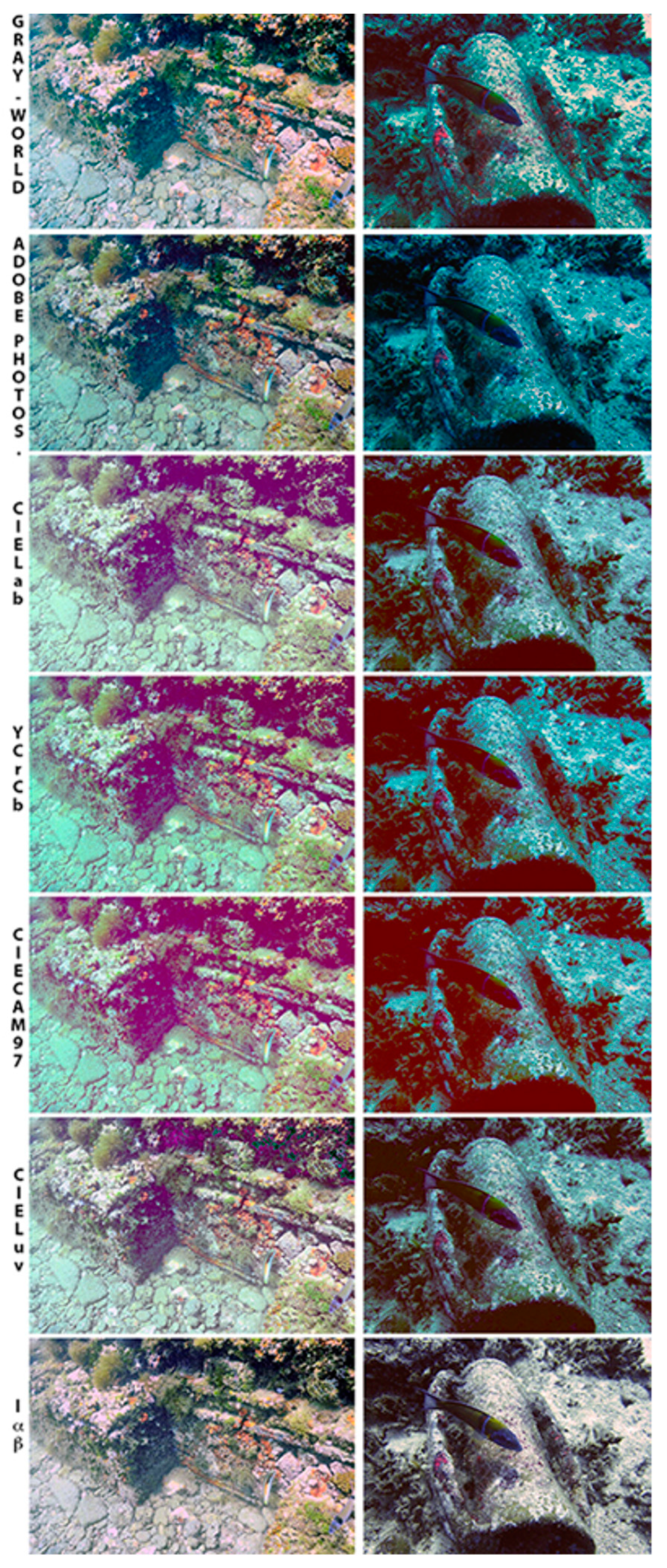 Sensors 21 05690 g001