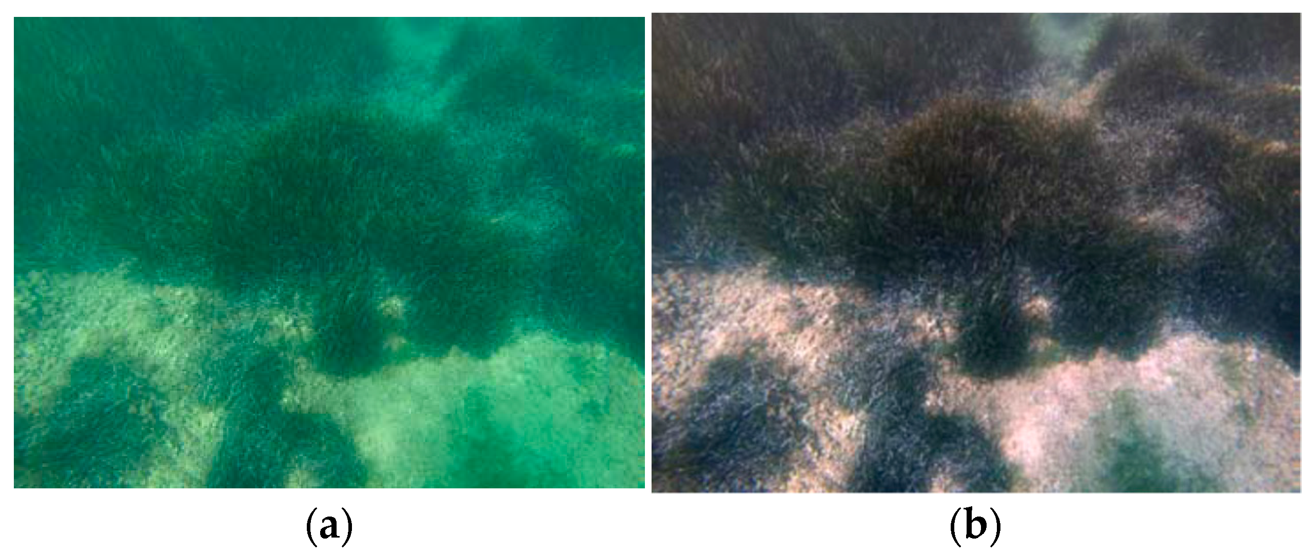 Sensors 21 05690 g002a