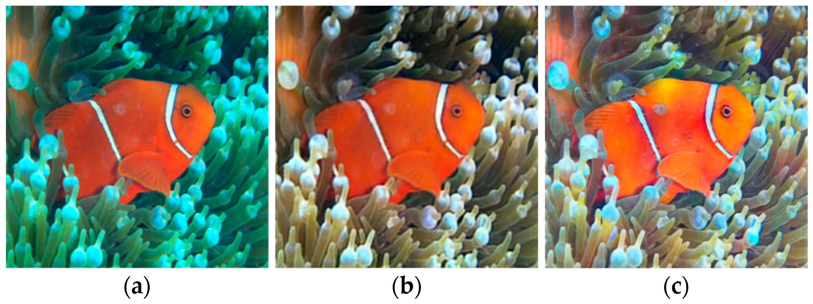 Sensors 21 05690 g007