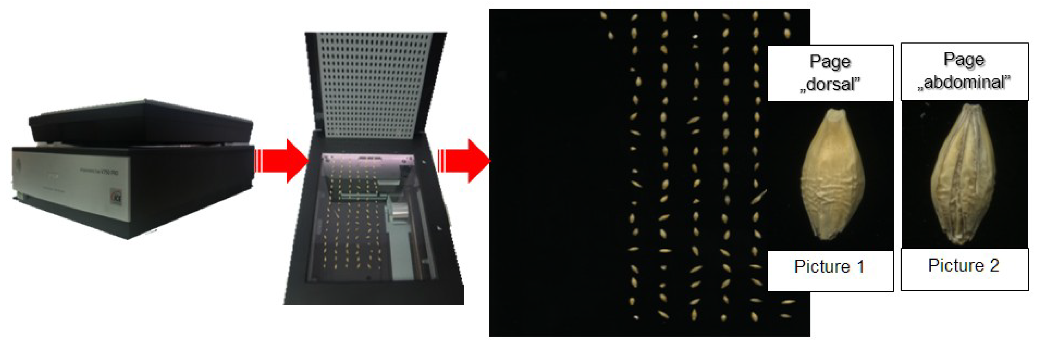 Sensors 21 05696 g002 Sensors 21 05696 g002