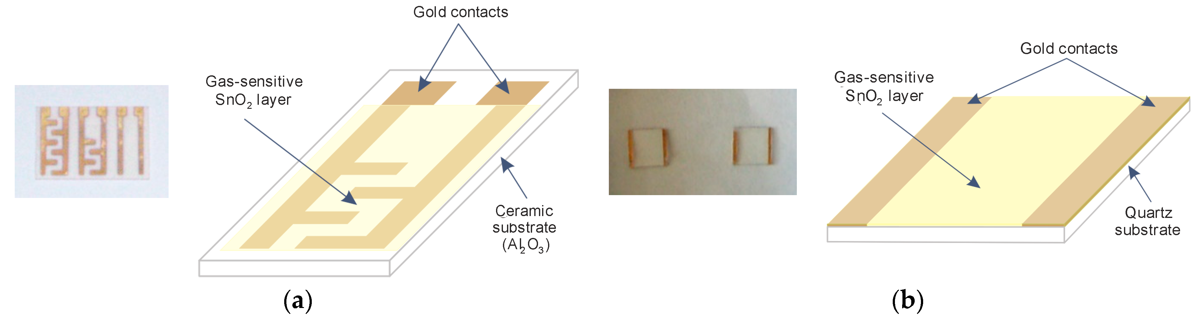 Sensors 21 05741 g001 550