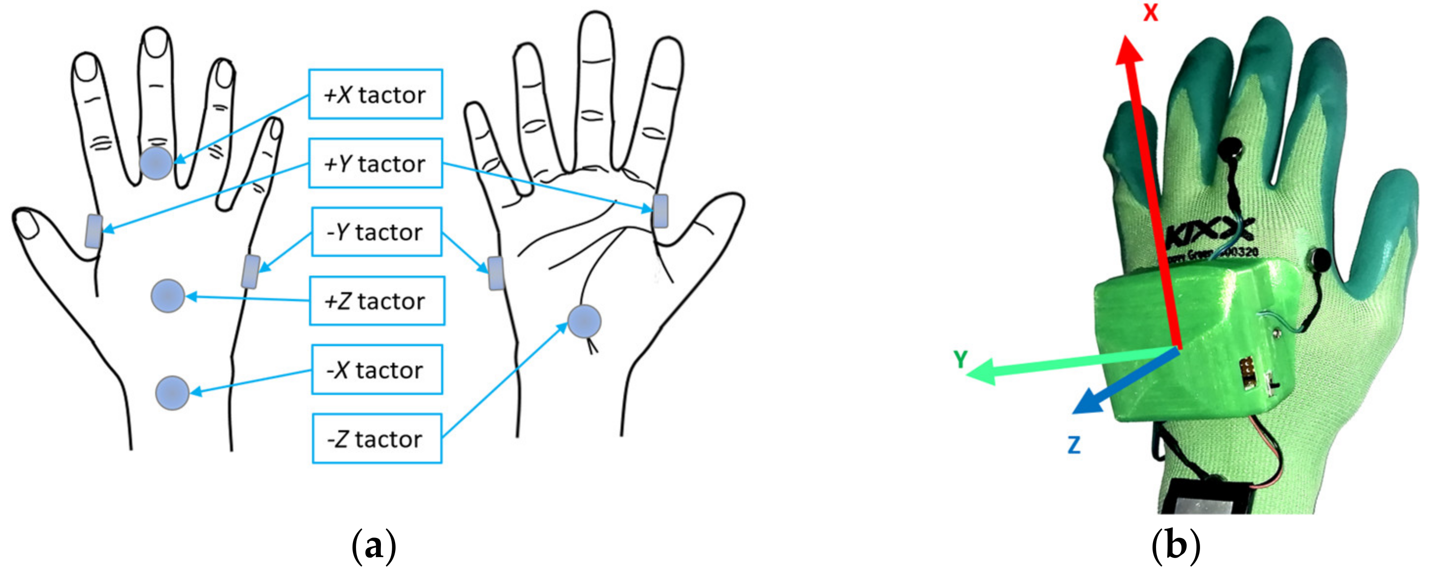 Sensors 21 05748 g005