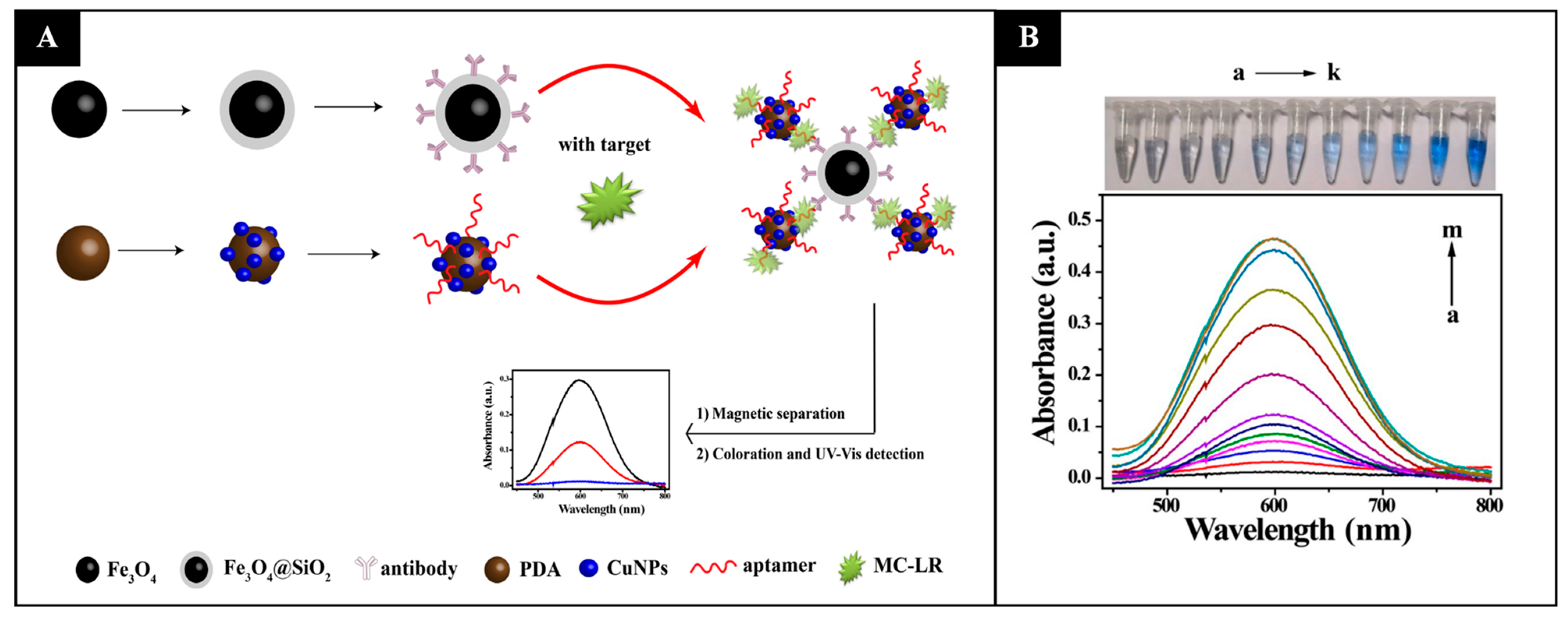 Sensors 21 05784 g002