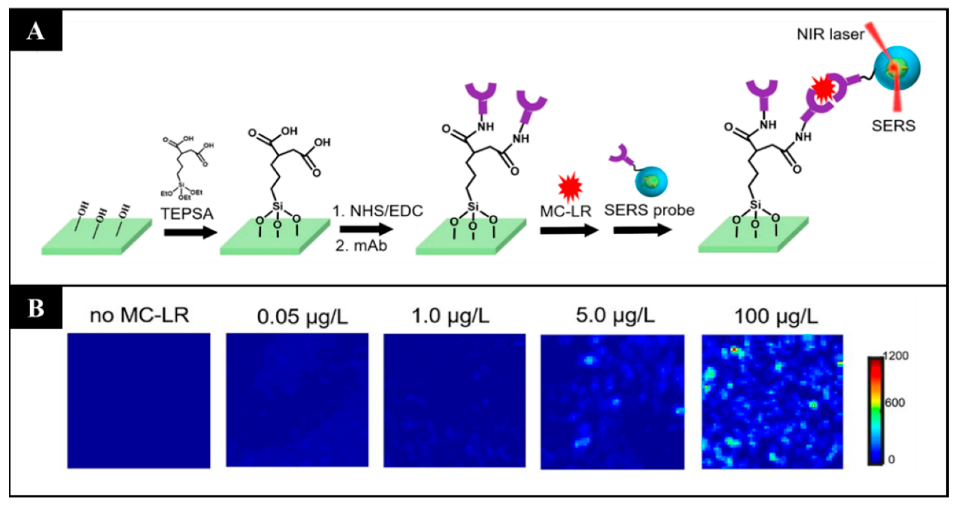 Sensors 21 05784 g004