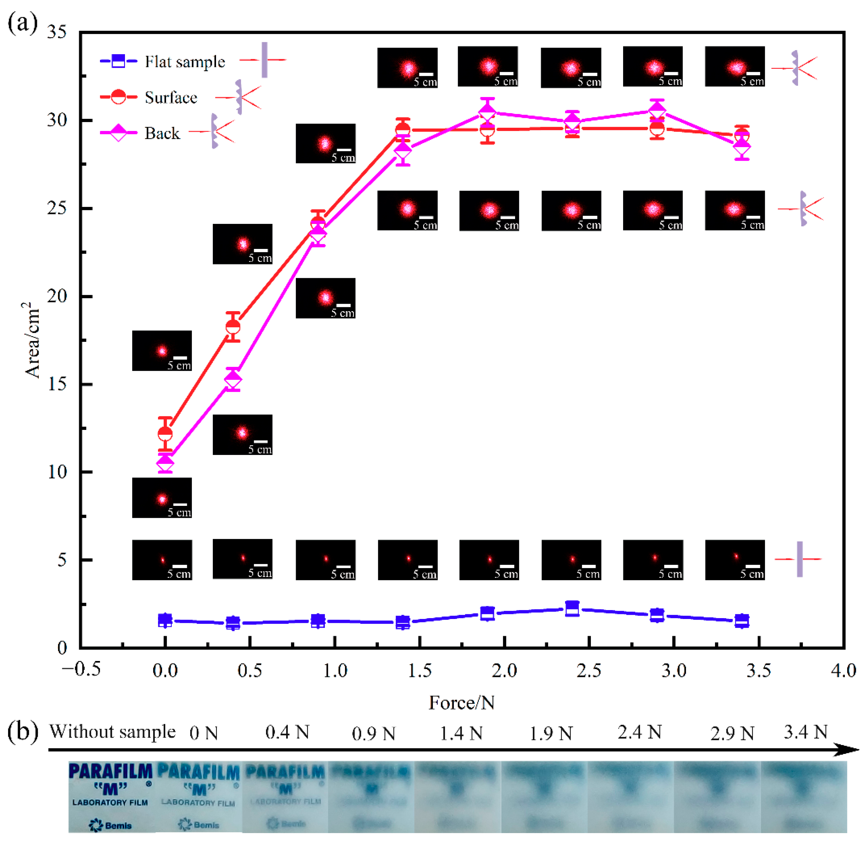 Sensors 21 05820 g007 550