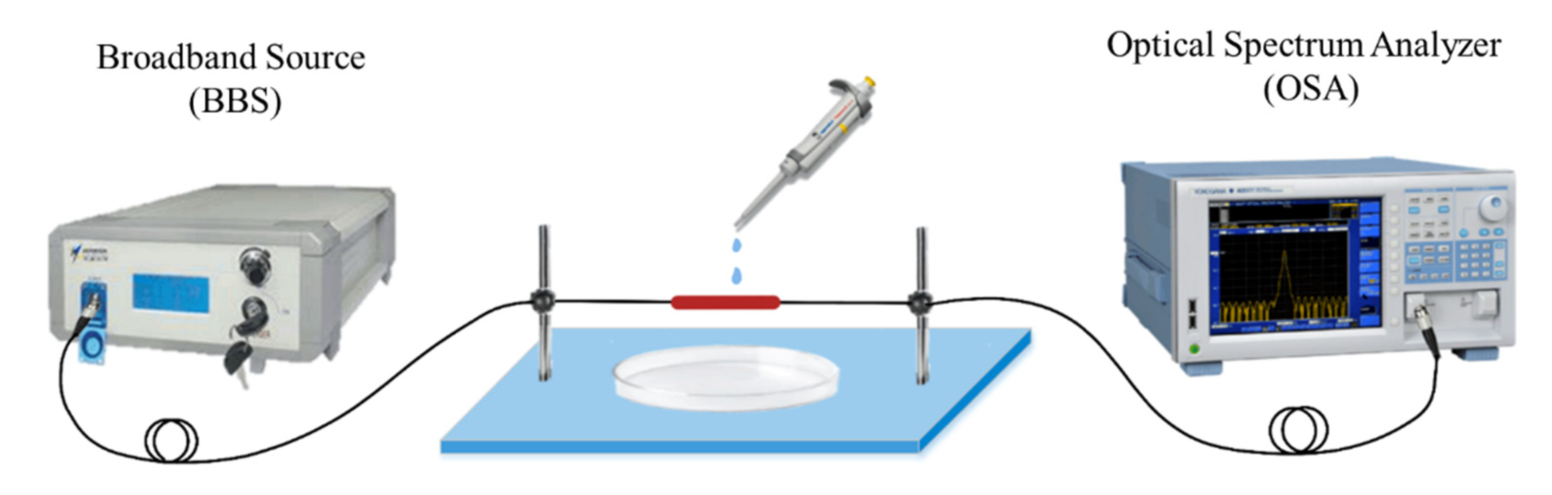 Sensors 21 05870 g001