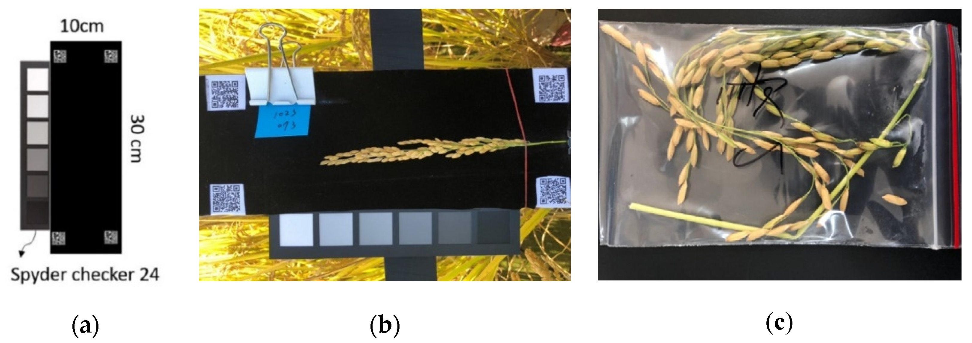 Sensors 21 05875 g004