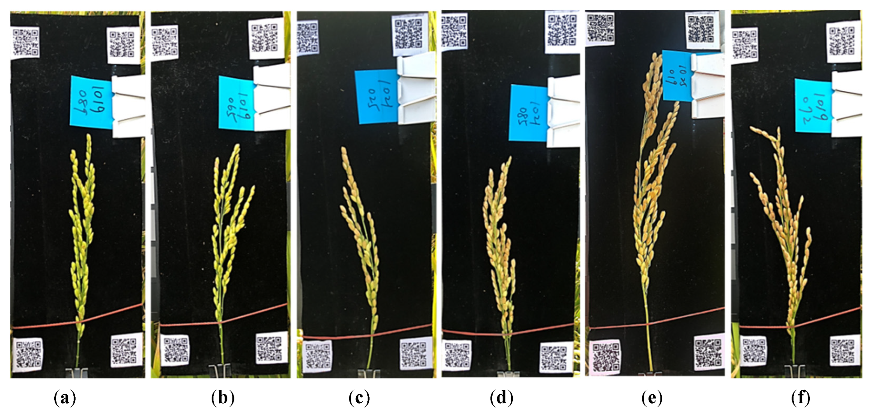 Sensors 21 05875 g006