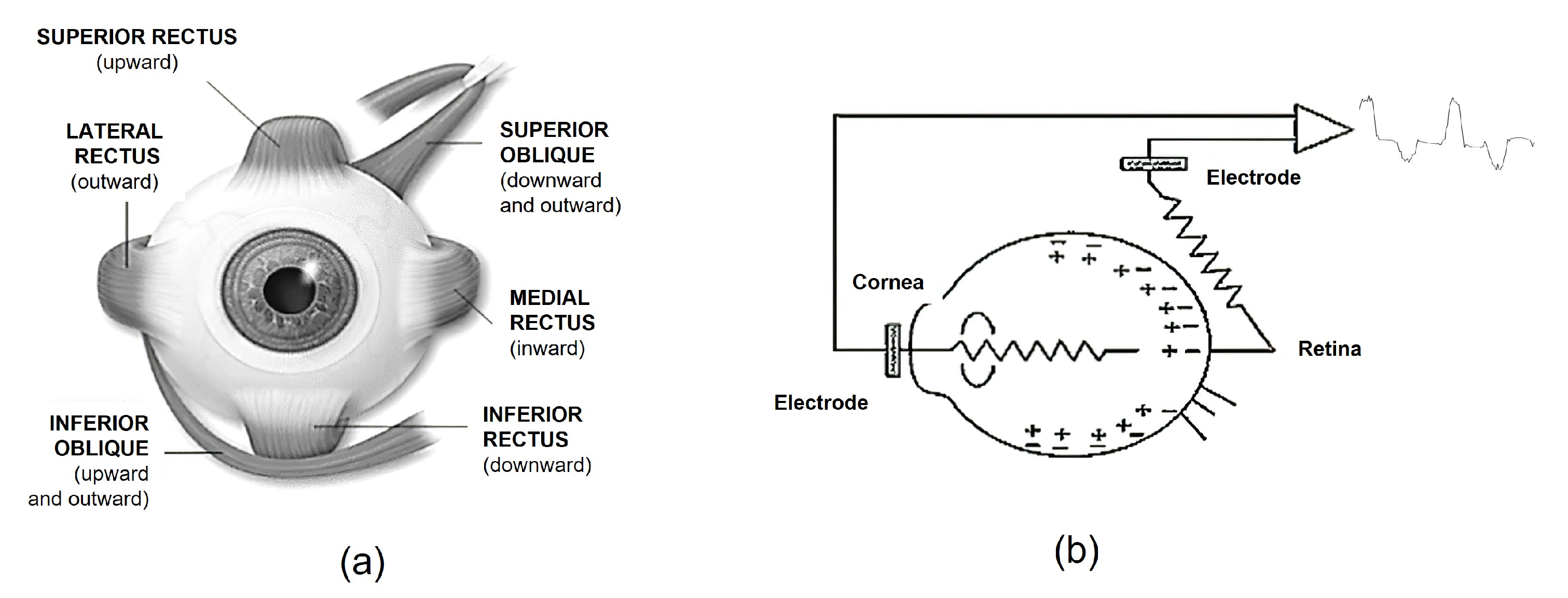 Sensors 21 05882 g004 Sensors 21 05882 g004