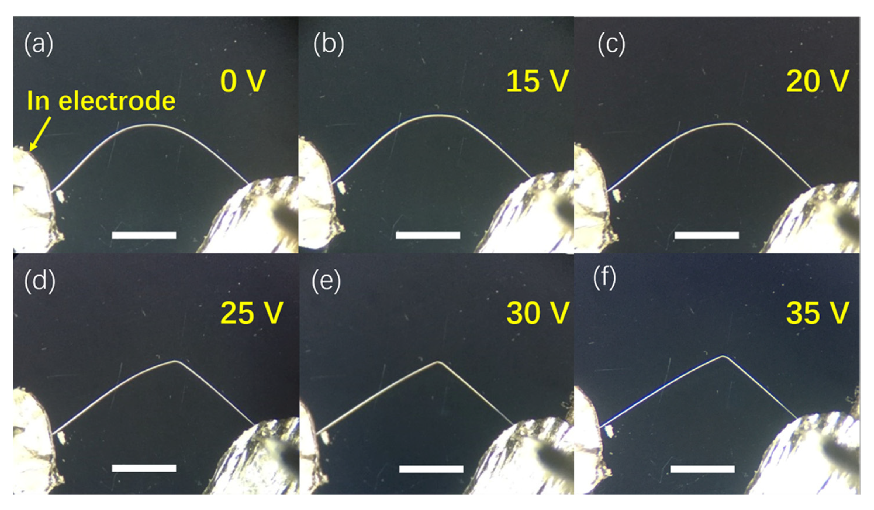 Sensors 21 05887 g001 Sensors 21 05887 g001
