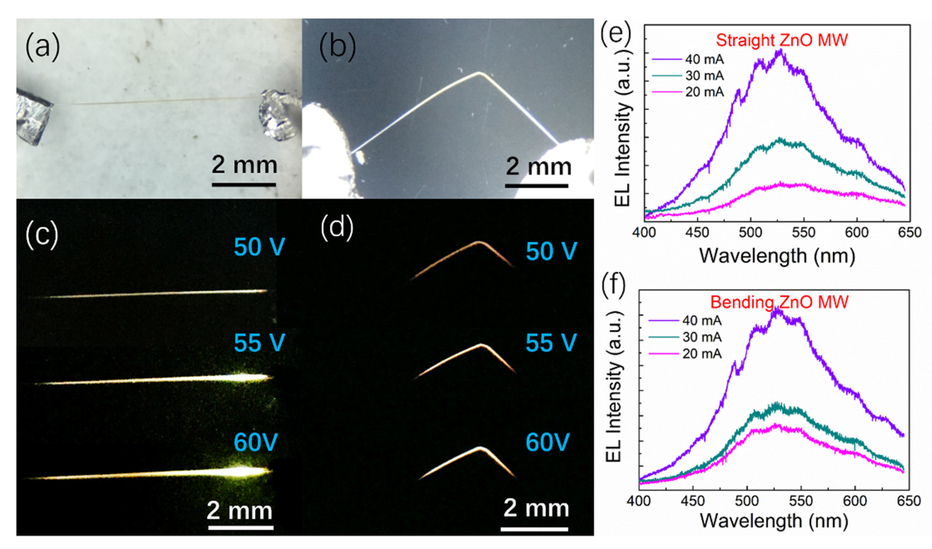 Sensors 21 05887 g007 Sensors 21 05887 g007