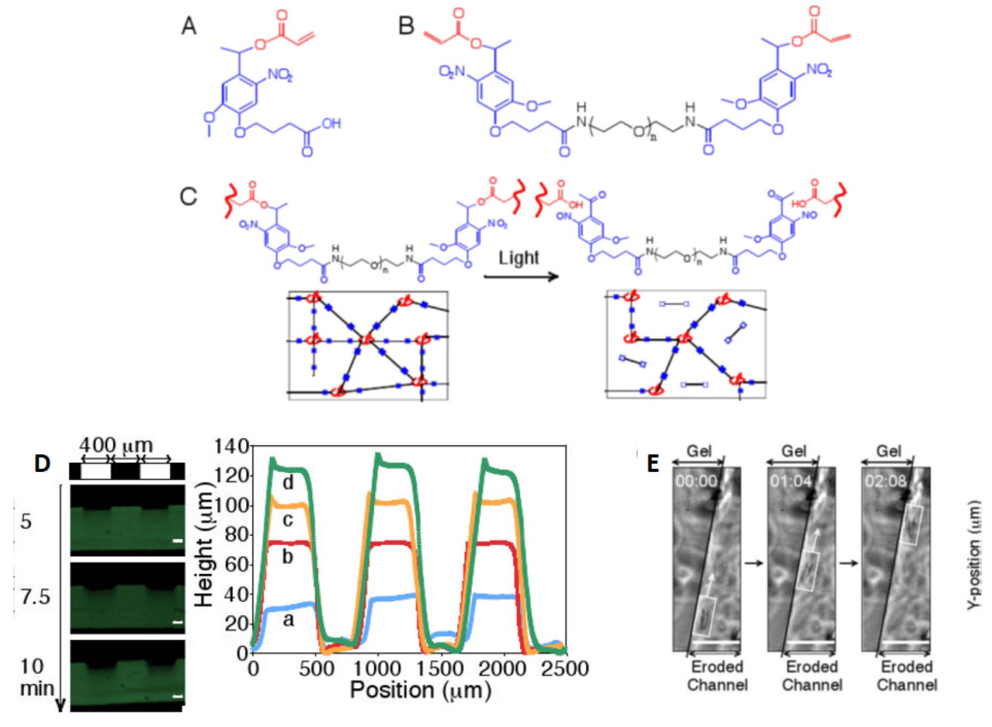 Sensors 21 05891 g005