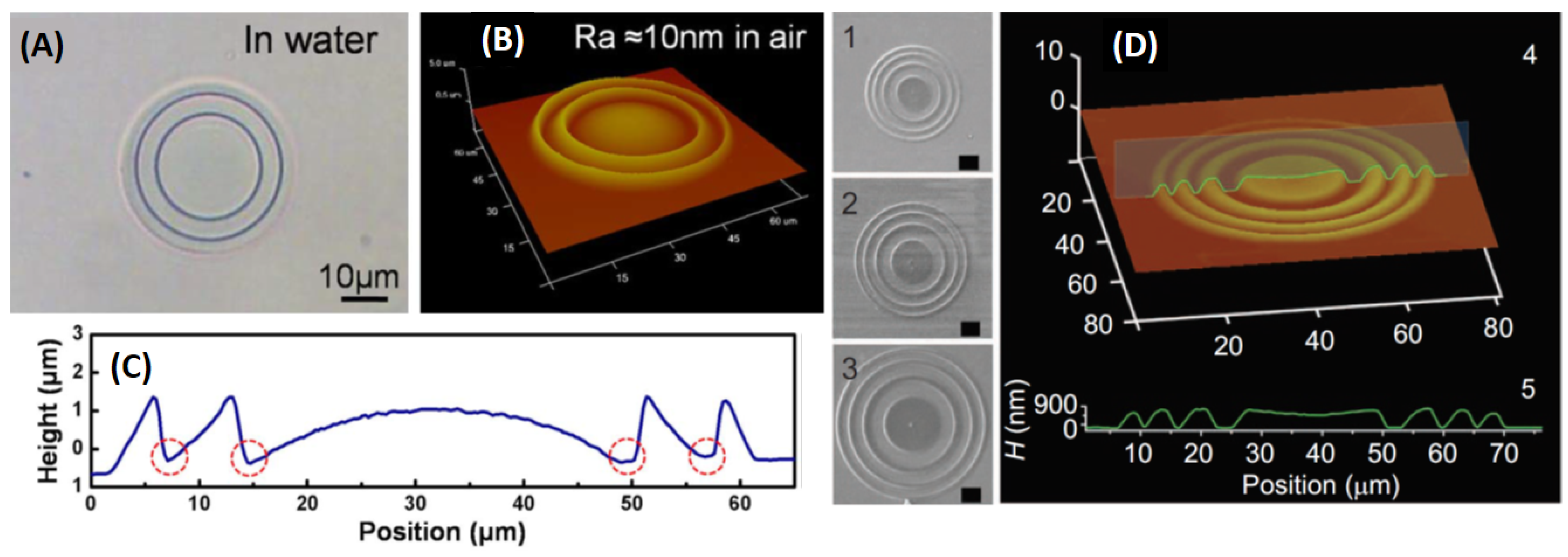 Sensors 21 05891 g008