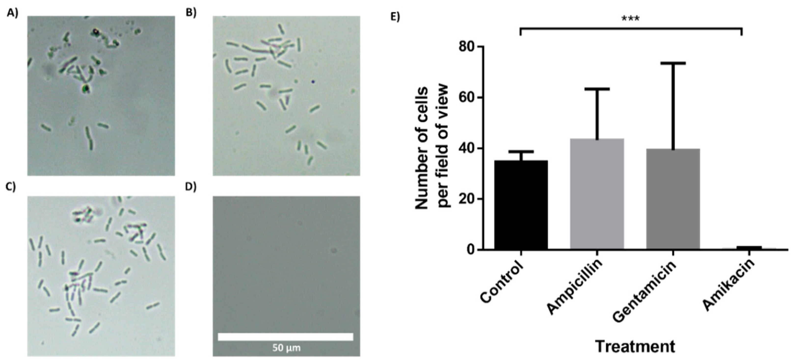 Sensors 21 05902 g006
